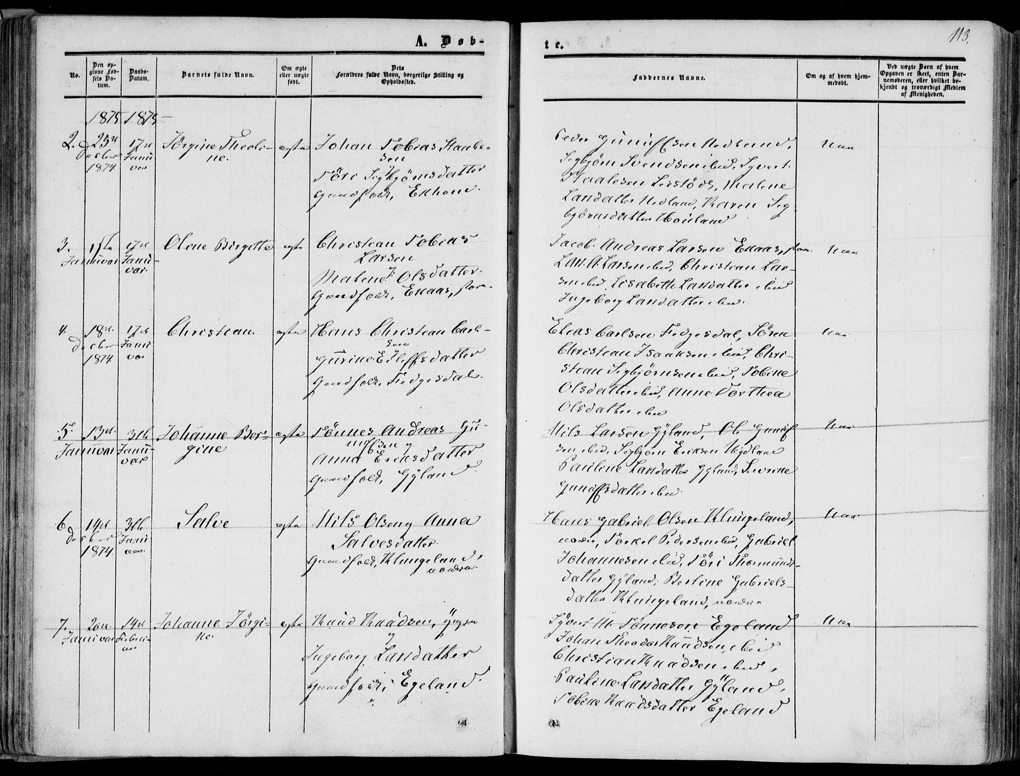 Bakke sokneprestkontor, AV/SAK-1111-0002/F/Fa/Fab/L0002: Parish register (official) no. A 2, 1855-1884, p. 113