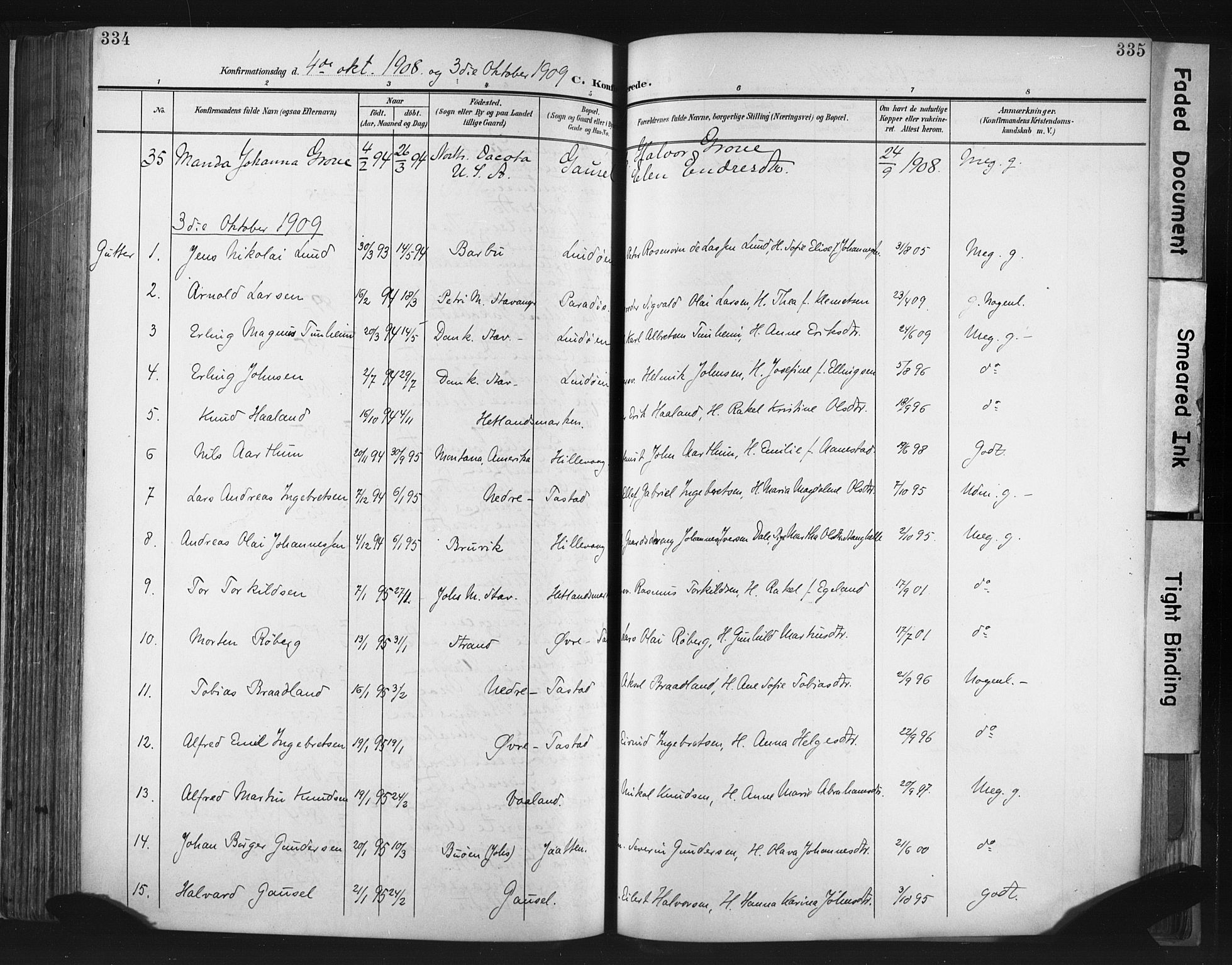 Hetland sokneprestkontor, SAST/A-101826/30/30BA/L0013: Parish register (official) no. A 13, 1904-1918, p. 334-335