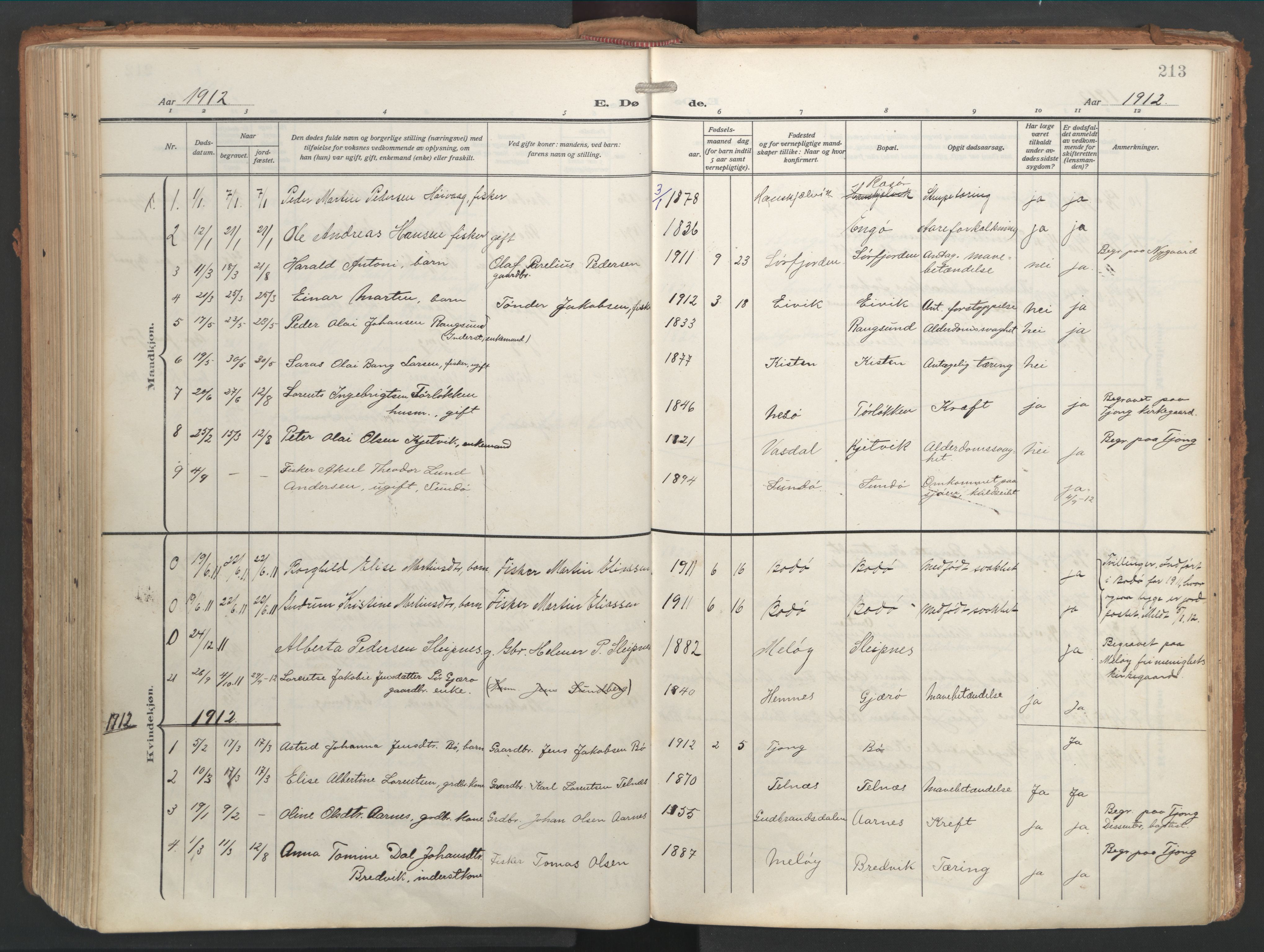 Ministerialprotokoller, klokkerbøker og fødselsregistre - Nordland, AV/SAT-A-1459/841/L0614: Parish register (official) no. 841A17, 1911-1925, p. 213