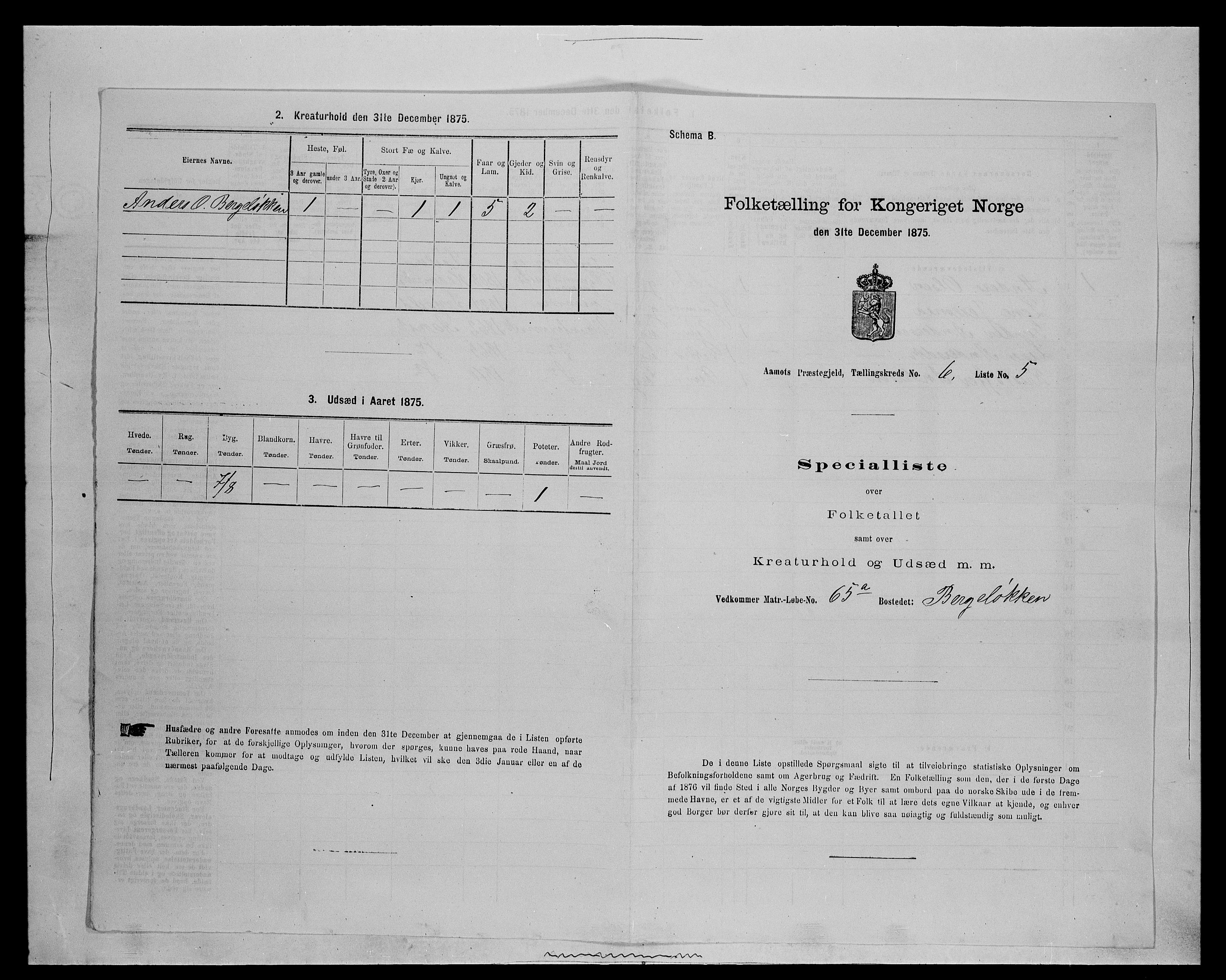 SAH, 1875 census for 0429P Åmot, 1875, p. 888