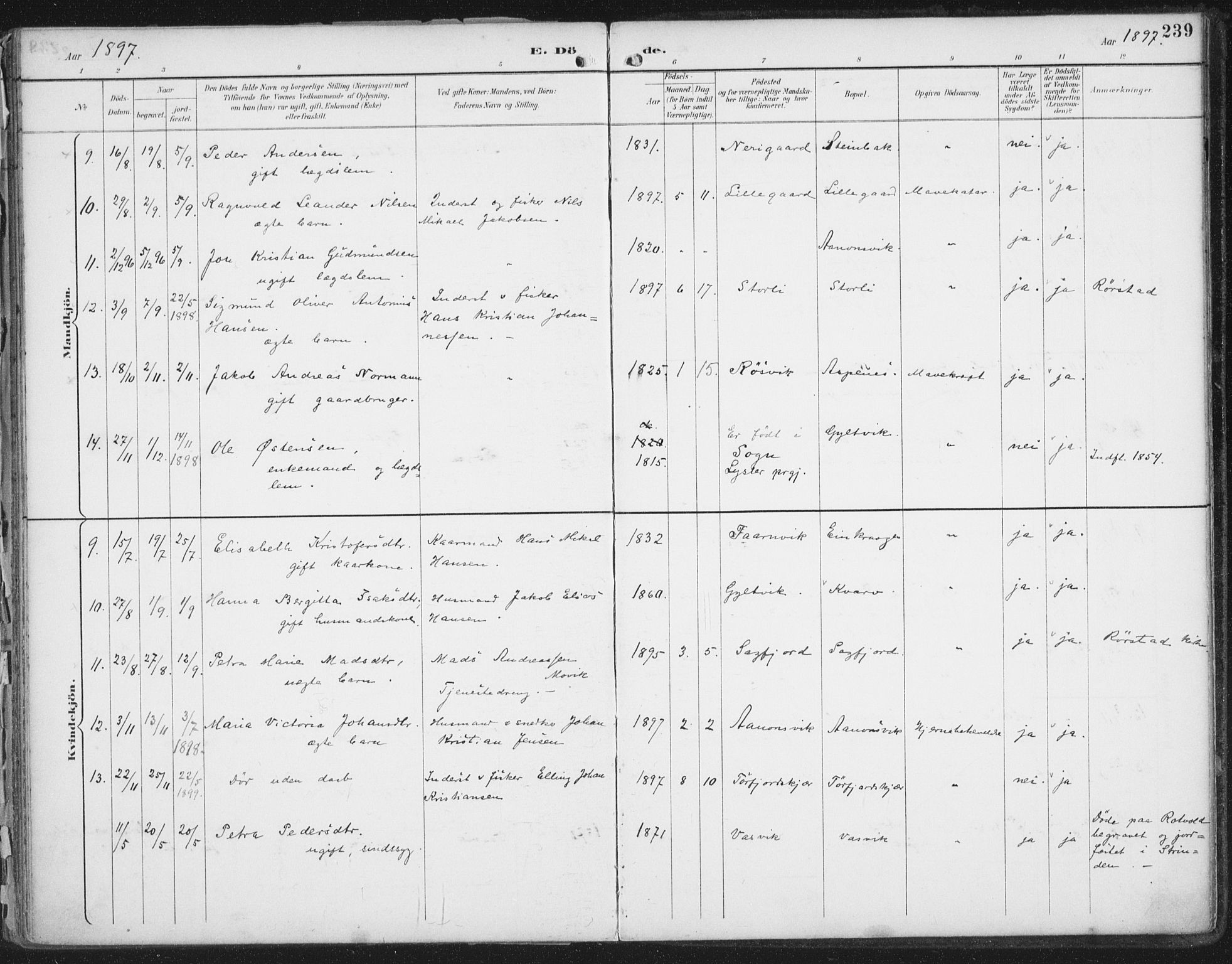 Ministerialprotokoller, klokkerbøker og fødselsregistre - Nordland, SAT/A-1459/854/L0779: Parish register (official) no. 854A02, 1892-1909, p. 239