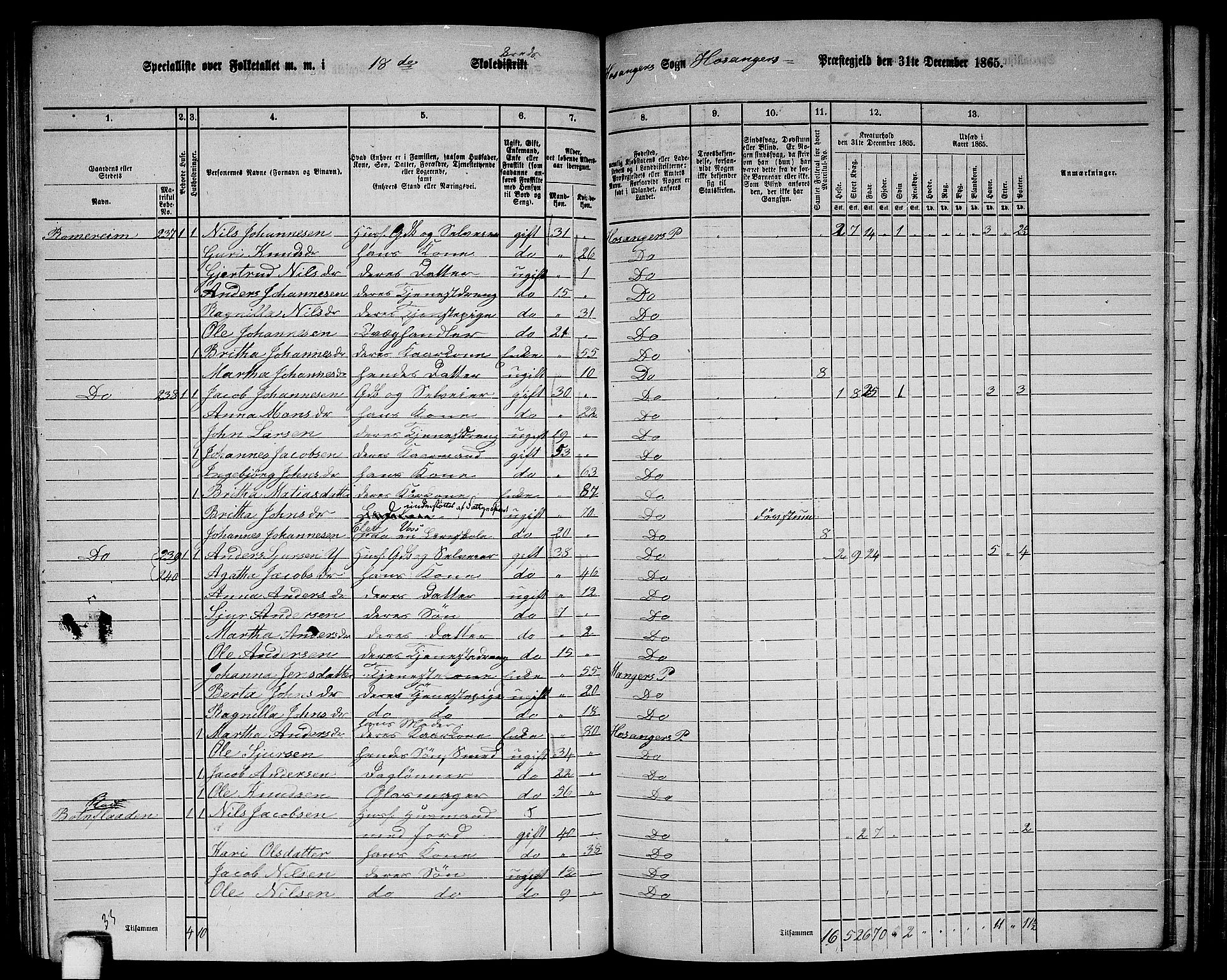 RA, 1865 census for Hosanger, 1865, p. 111