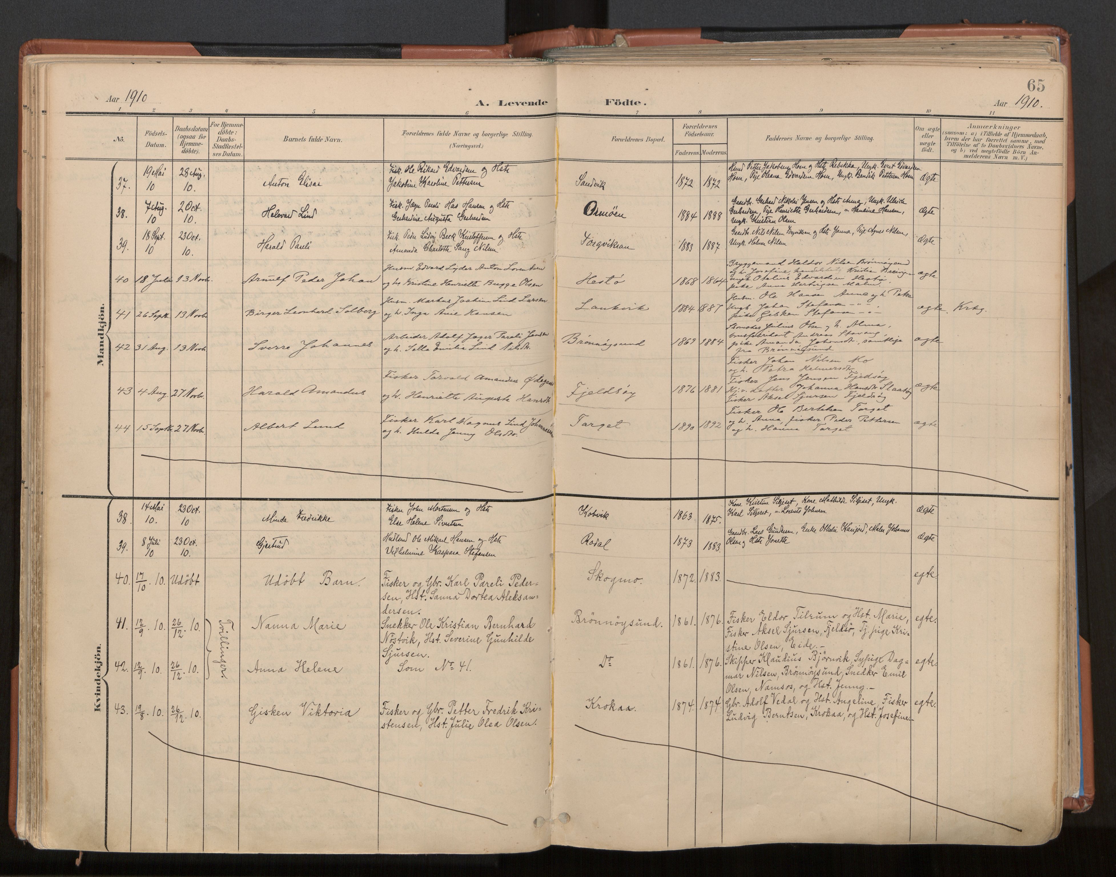 Ministerialprotokoller, klokkerbøker og fødselsregistre - Nordland, SAT/A-1459/813/L0201: Parish register (official) no. 813A11, 1901-1918, p. 65