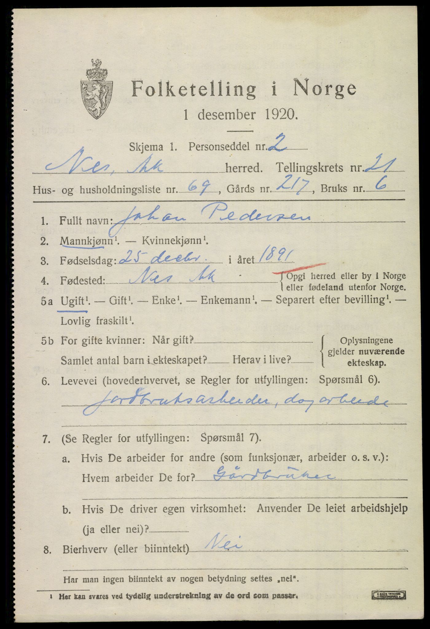 SAO, 1920 census for Nes, 1920, p. 22650