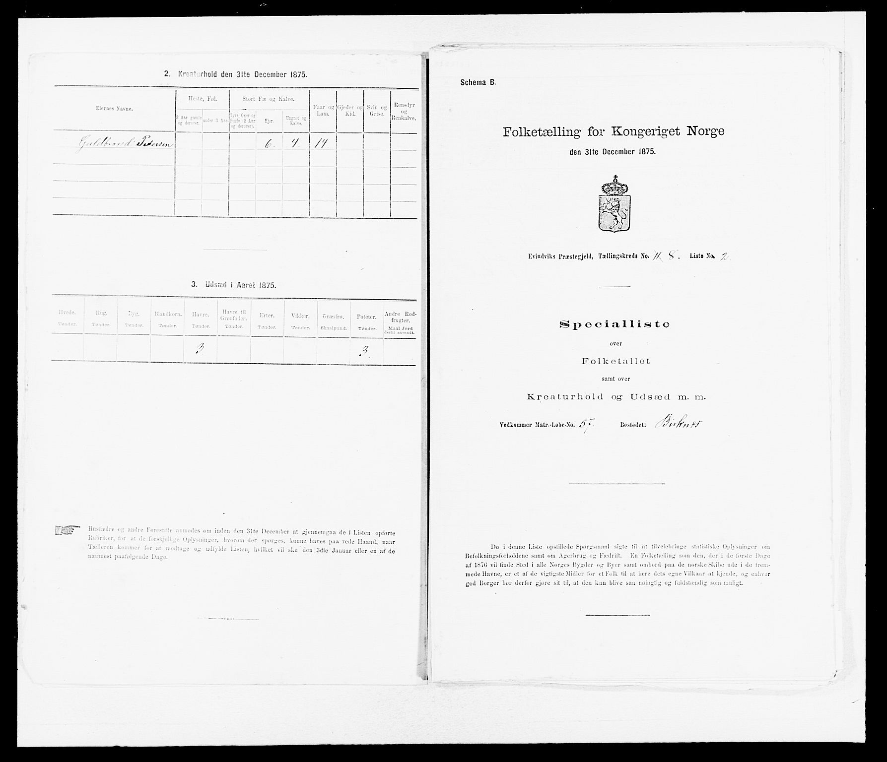 SAB, 1875 census for 1411P Eivindvik, 1875, p. 707