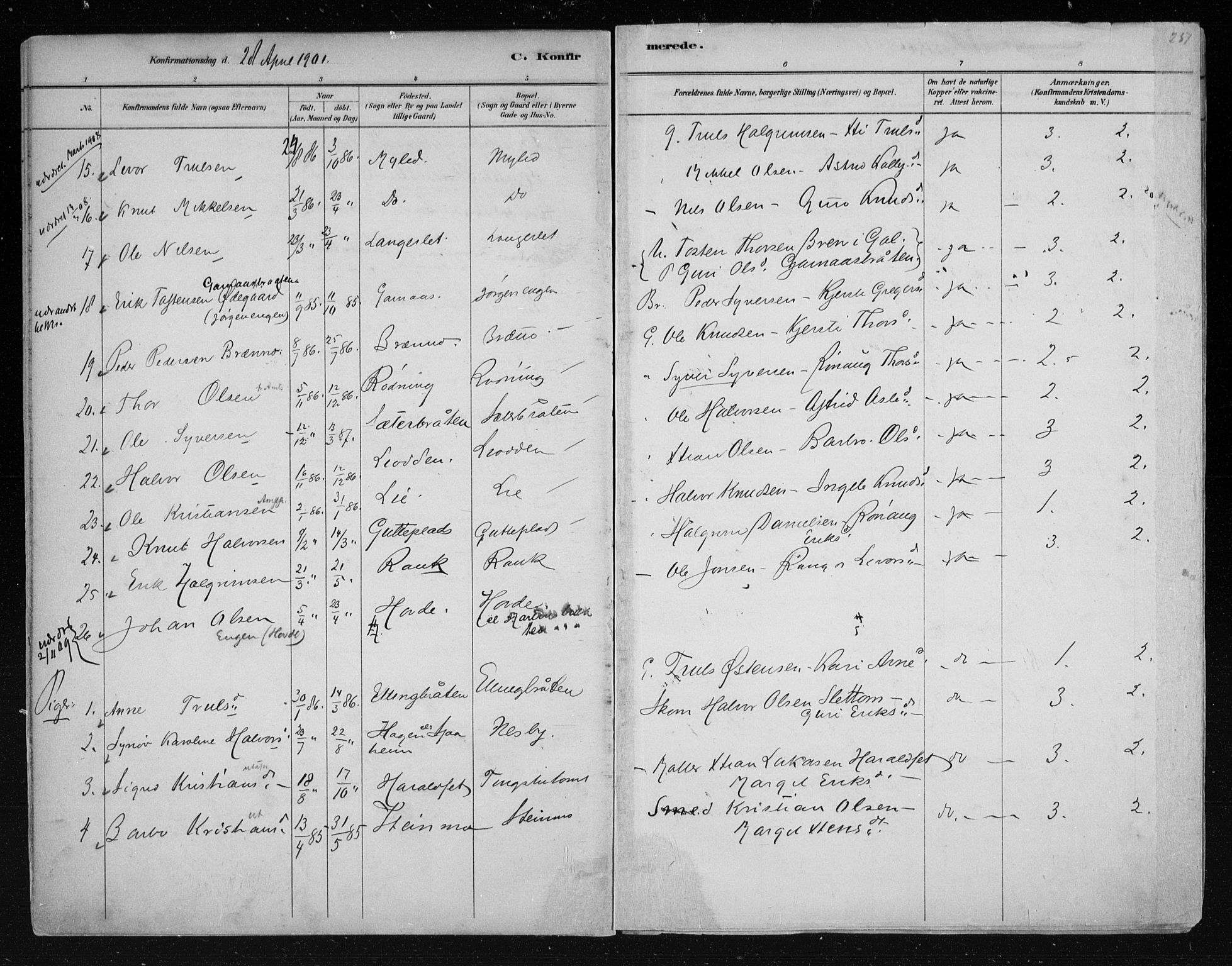 Nes kirkebøker, AV/SAKO-A-236/F/Fa/L0011: Parish register (official) no. 11, 1881-1912, p. 251