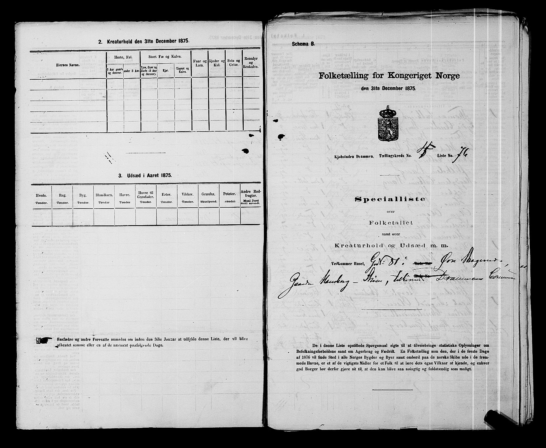 SAKO, 1875 census for 0602 Drammen, 1875, p. 386