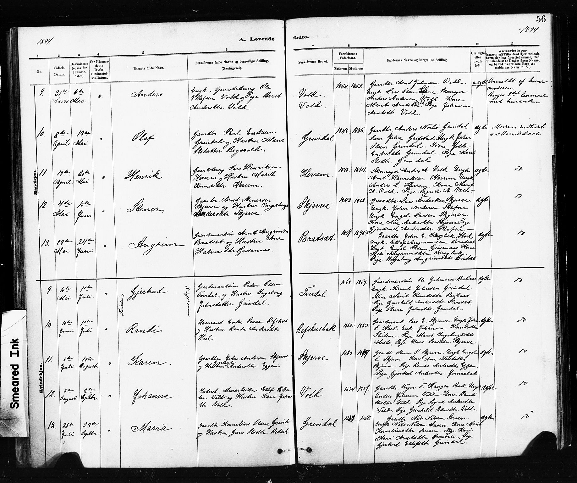 Ministerialprotokoller, klokkerbøker og fødselsregistre - Sør-Trøndelag, AV/SAT-A-1456/674/L0871: Parish register (official) no. 674A03, 1880-1896, p. 56