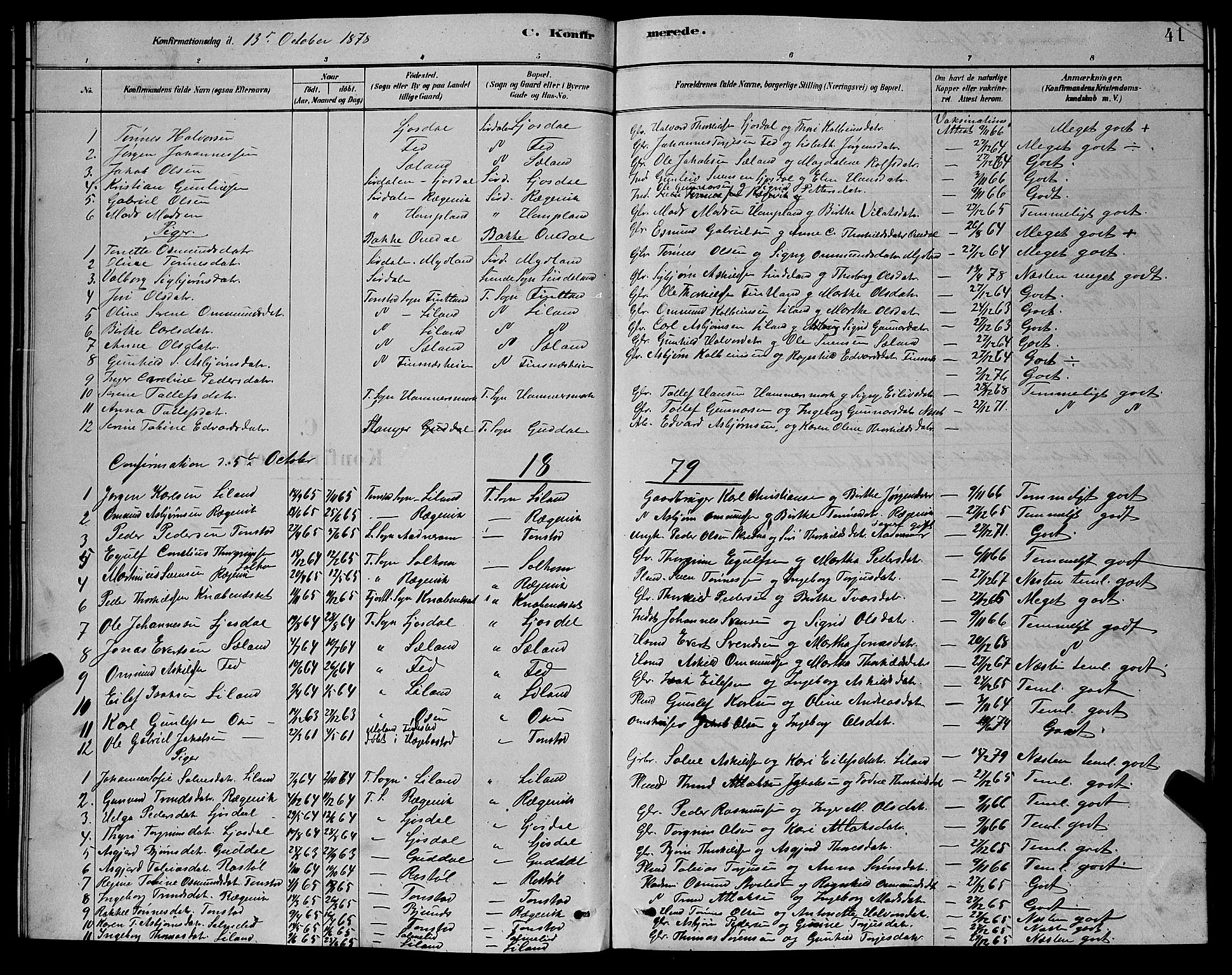 Sirdal sokneprestkontor, AV/SAK-1111-0036/F/Fb/Fbb/L0003: Parish register (copy) no. B 3, 1878-1894, p. 41