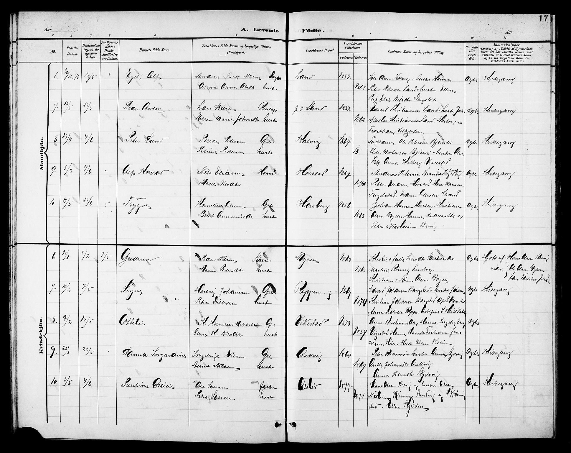 Ministerialprotokoller, klokkerbøker og fødselsregistre - Nordland, AV/SAT-A-1459/810/L0161: Parish register (copy) no. 810C04, 1897-1910, p. 17