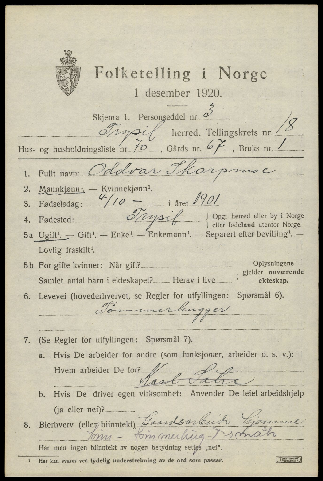 SAH, 1920 census for Trysil, 1920, p. 12611