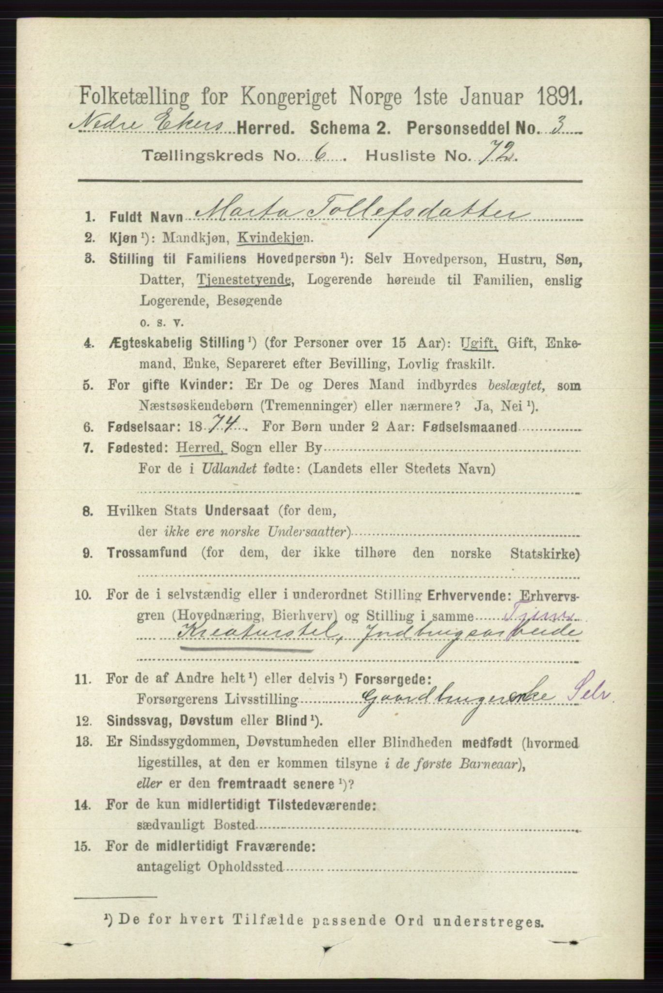 RA, 1891 census for 0625 Nedre Eiker, 1891, p. 3262