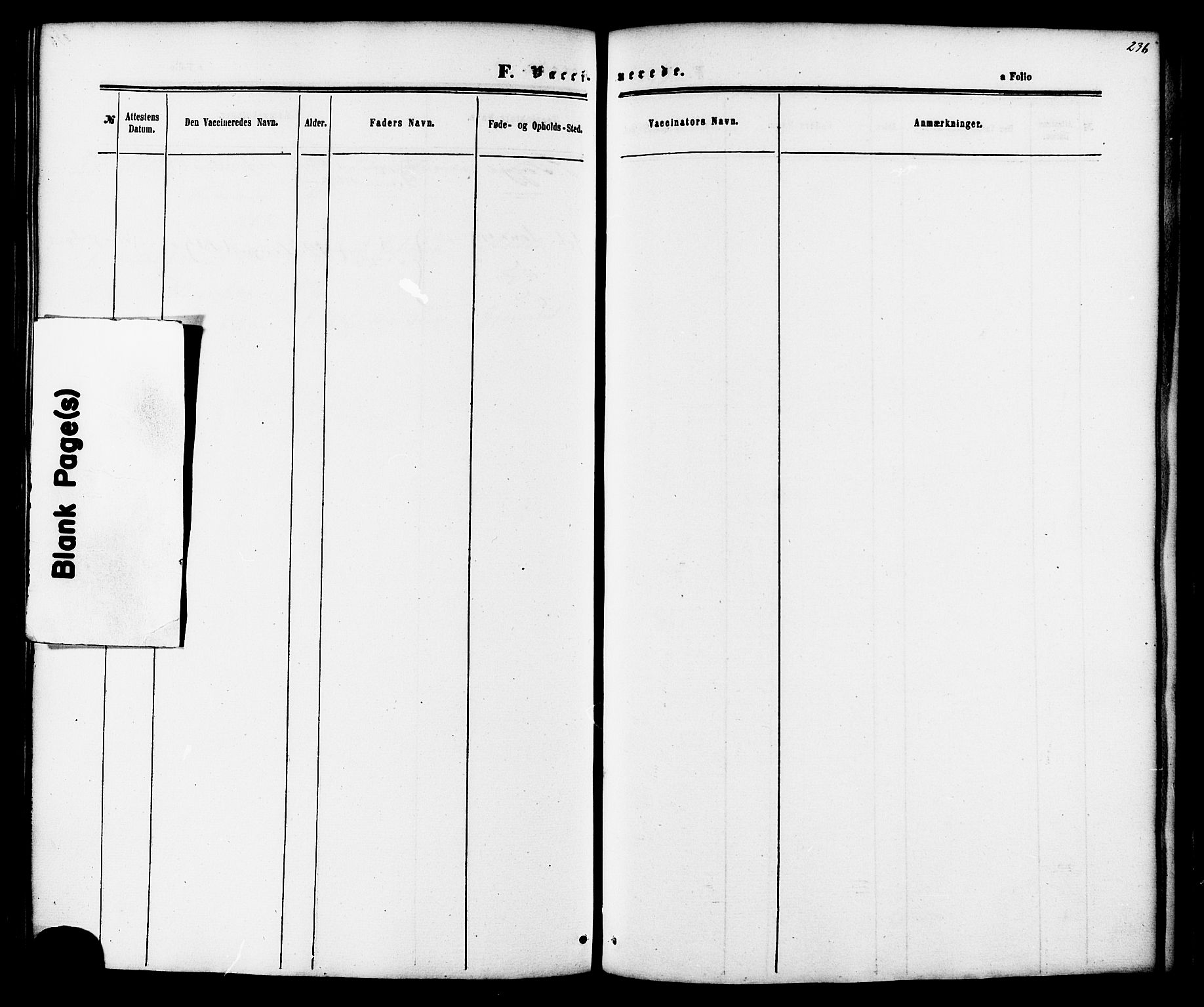 Ministerialprotokoller, klokkerbøker og fødselsregistre - Møre og Romsdal, AV/SAT-A-1454/587/L0999: Parish register (official) no. 587A01, 1864-1886, p. 236