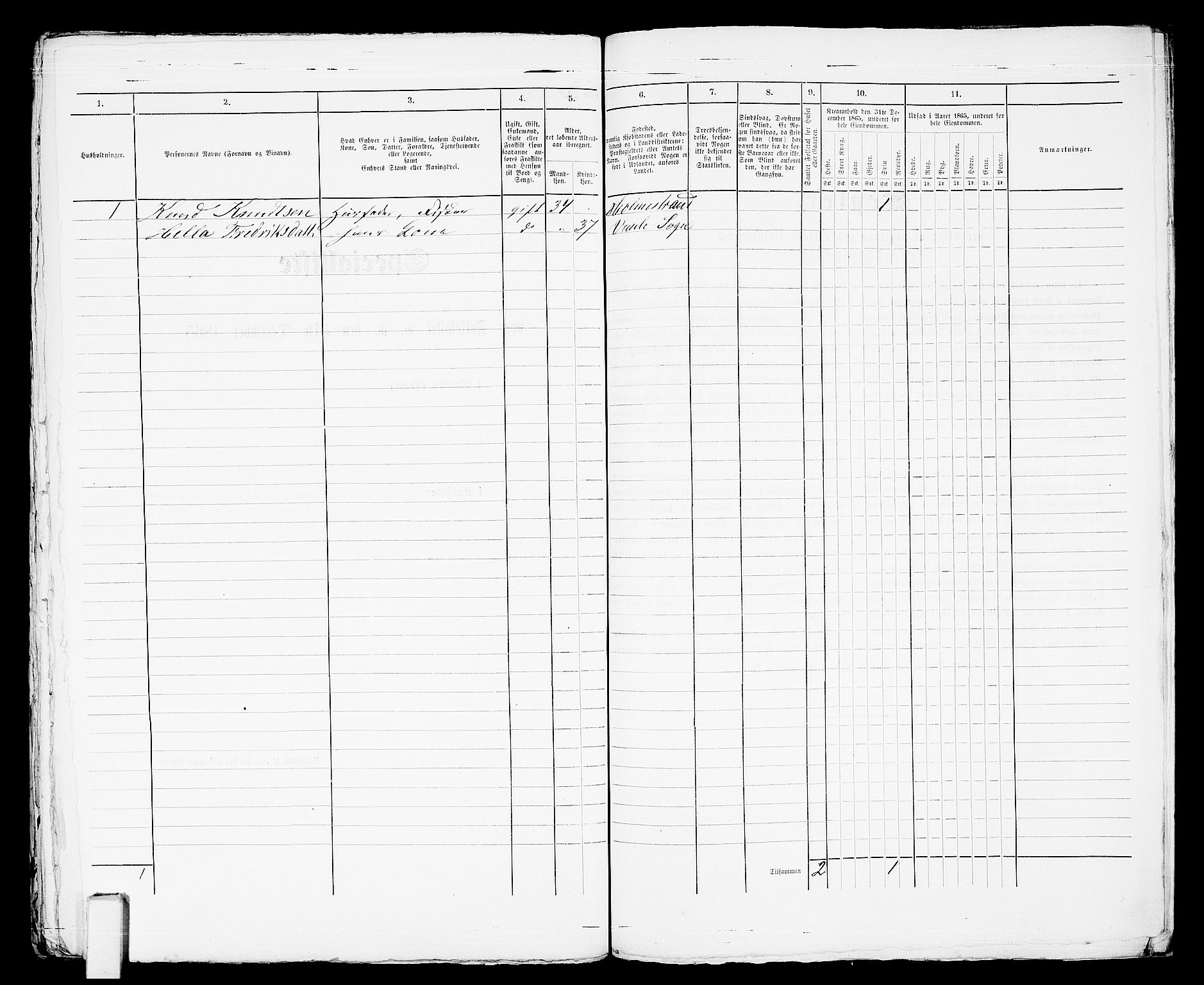 RA, 1865 census for Botne/Holmestrand, 1865, p. 416