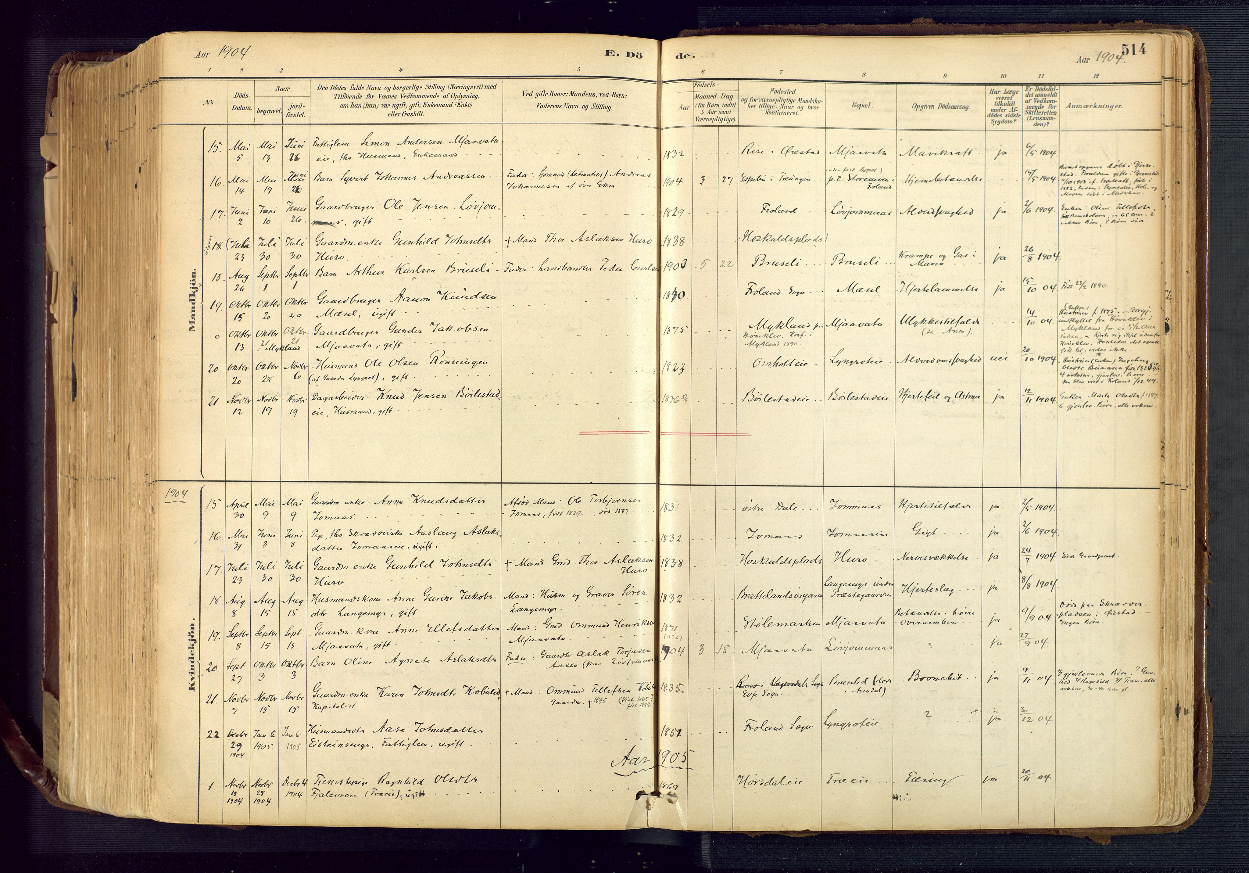 Froland sokneprestkontor, SAK/1111-0013/F/Fa/L0005: Parish register (official) no. A 5, 1882-1921, p. 514