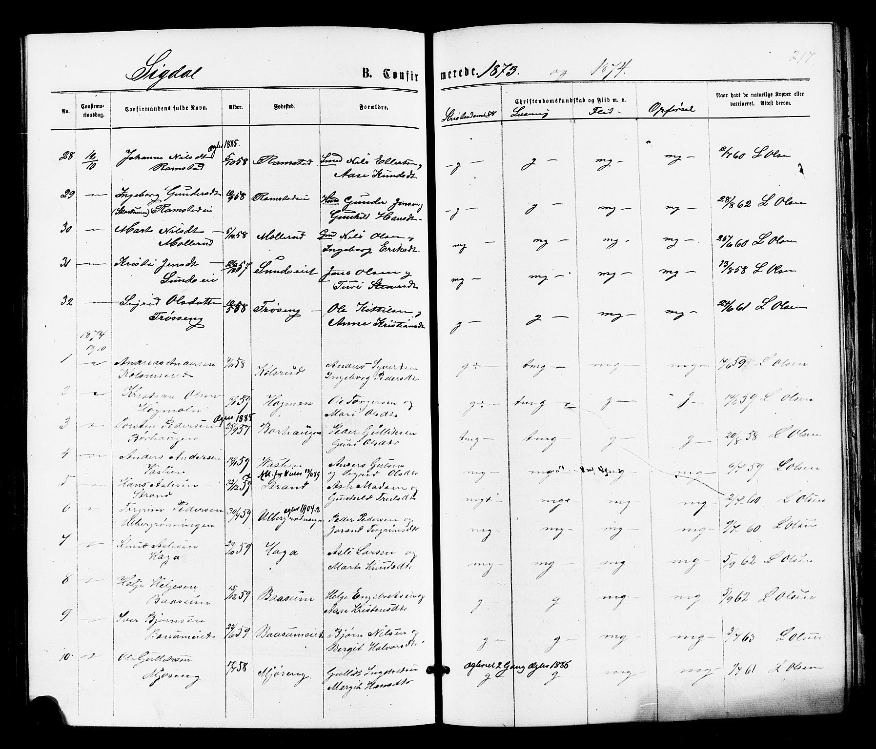 Sigdal kirkebøker, AV/SAKO-A-245/F/Fa/L0010: Parish register (official) no. I 10 /1, 1872-1878, p. 217