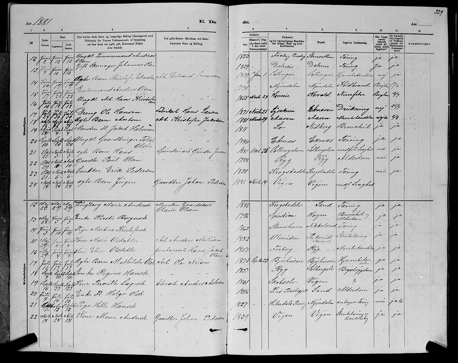 Nedre Eiker kirkebøker, AV/SAKO-A-612/G/Ga/L0002: Parish register (copy) no. 2, 1880-1896, p. 329