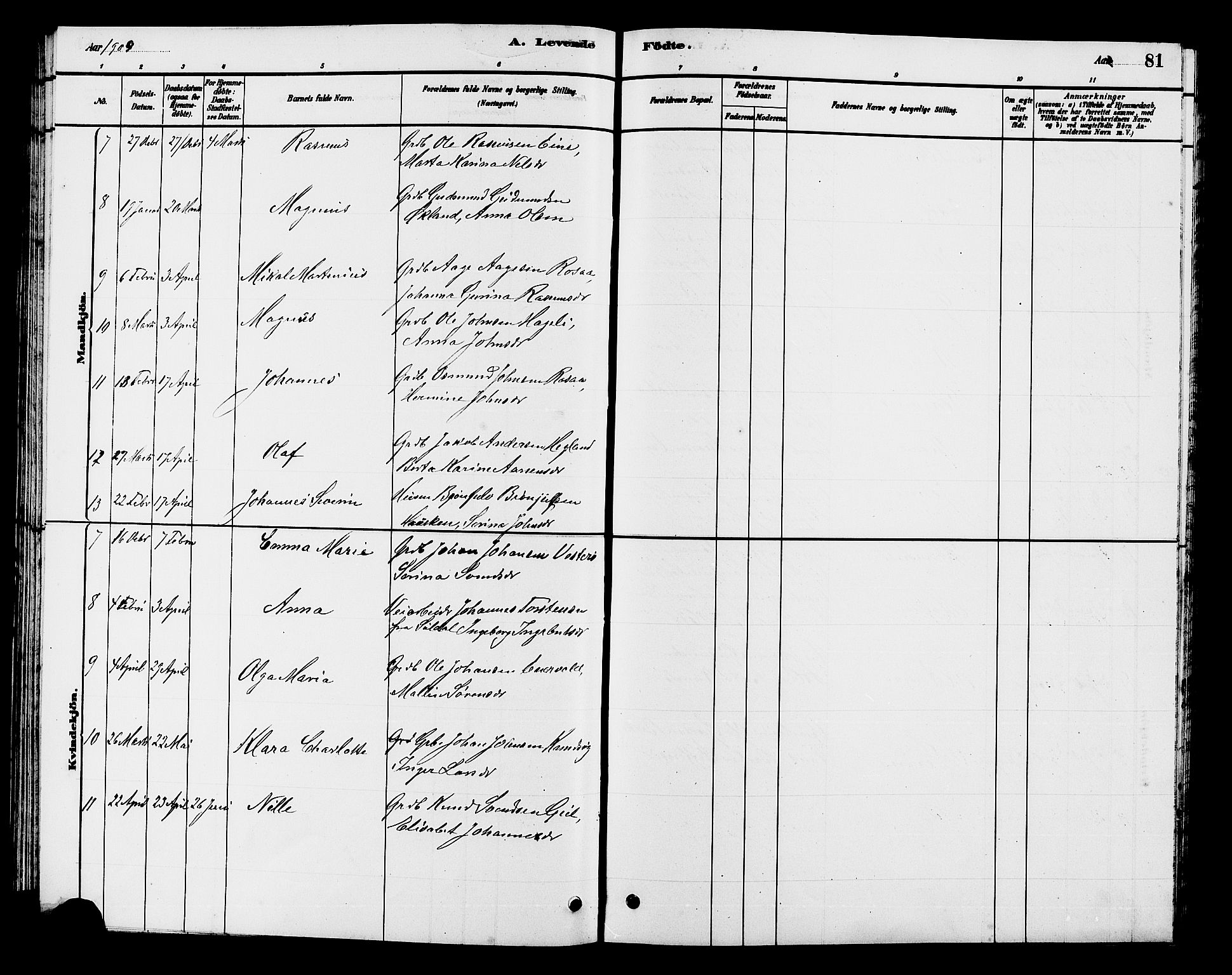 Hjelmeland sokneprestkontor, AV/SAST-A-101843/01/V/L0007: Parish register (copy) no. B 7, 1880-1909, p. 81