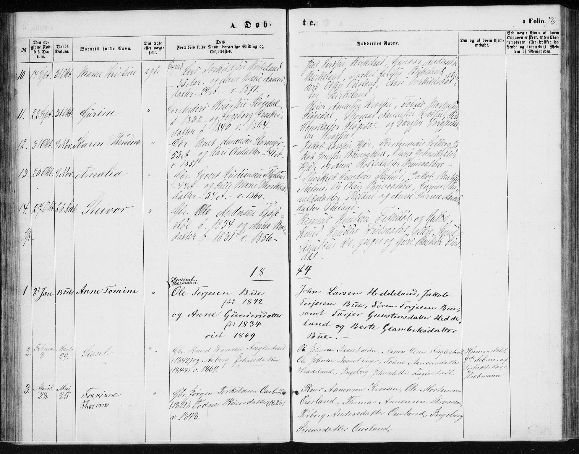 Holum sokneprestkontor, AV/SAK-1111-0022/F/Fb/Fbc/L0002: Parish register (copy) no. B 2, 1860-1882, p. 76