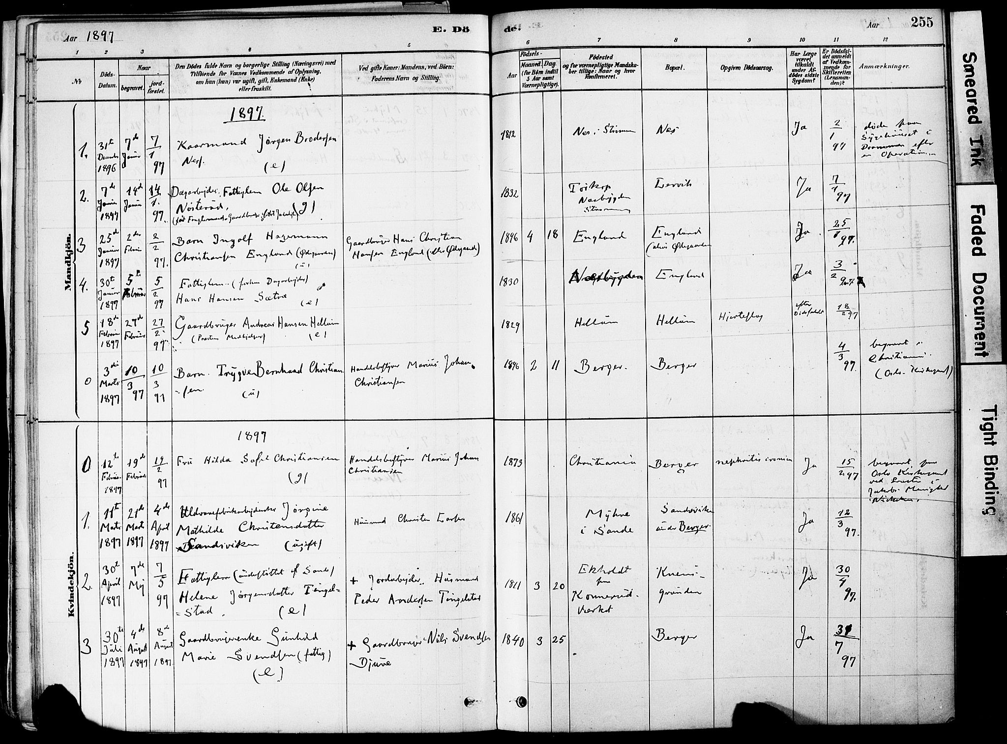 Strømm kirkebøker, AV/SAKO-A-322/F/Fa/L0004: Parish register (official) no. I 4, 1878-1899, p. 255