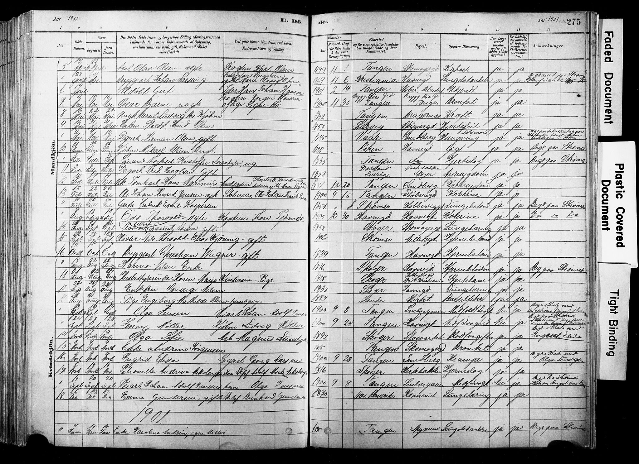 Strømsø kirkebøker, SAKO/A-246/F/Fb/L0006: Parish register (official) no. II 6, 1879-1910, p. 275