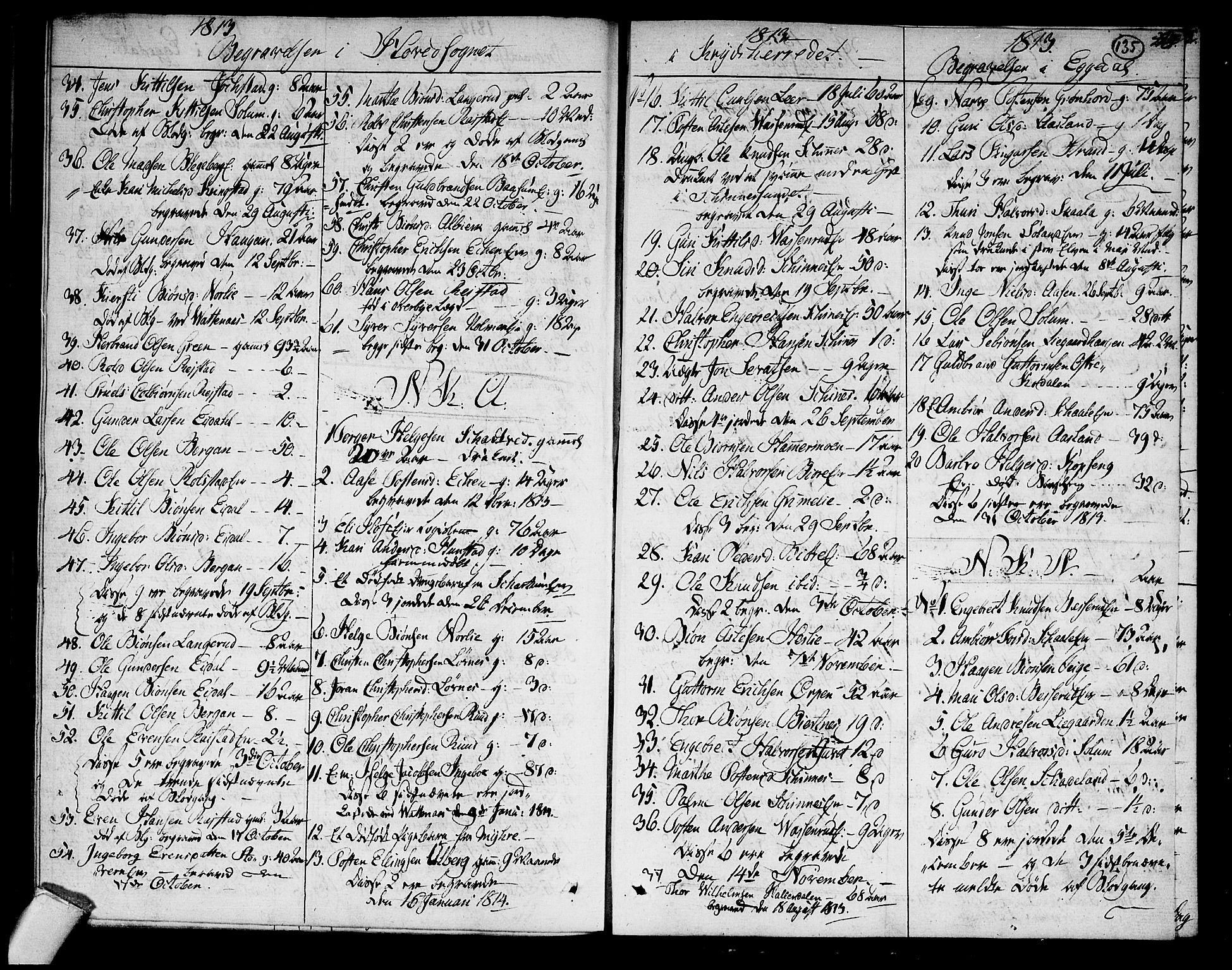 Sigdal kirkebøker, SAKO/A-245/F/Fa/L0004: Parish register (official) no. I 4, 1812-1815, p. 135