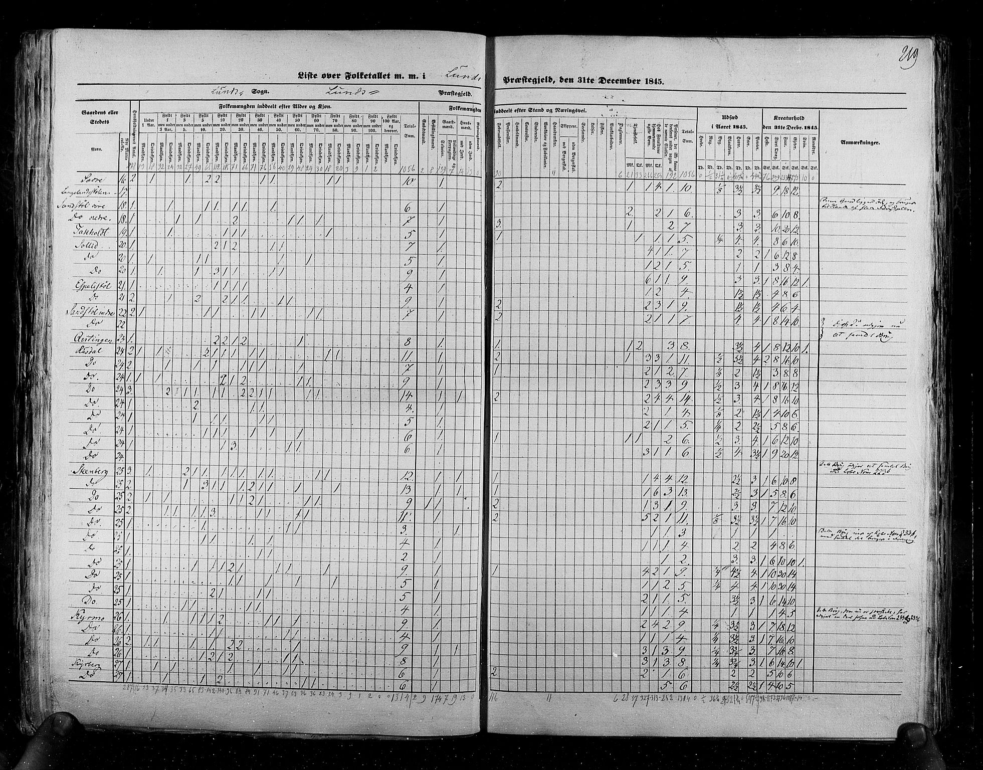 RA, Census 1845, vol. 6: Lister og Mandal amt og Stavanger amt, 1845, p. 219