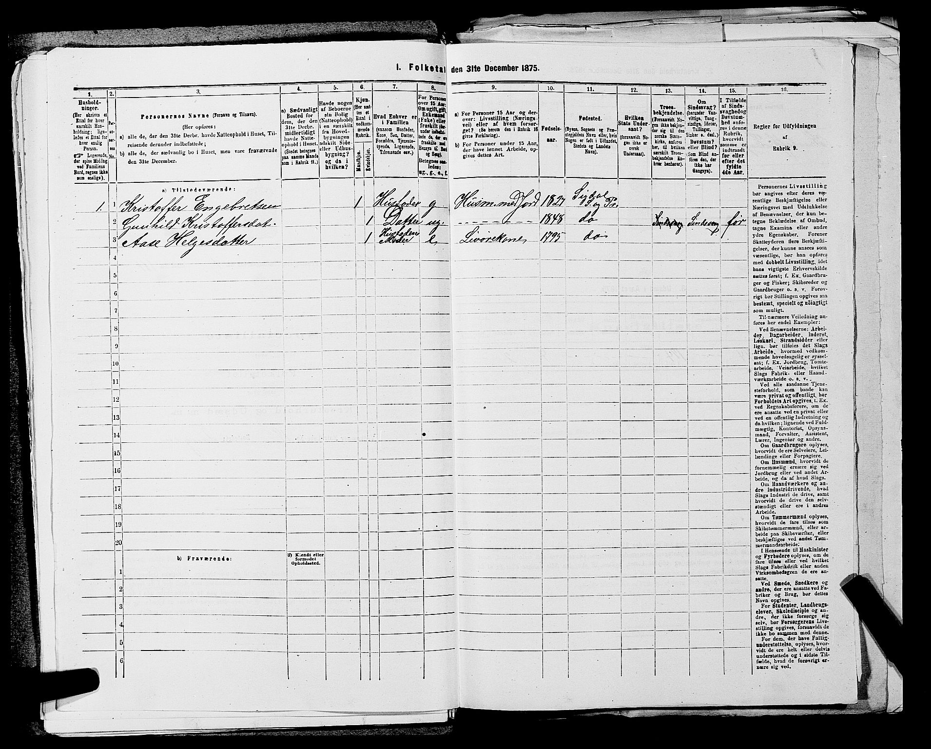 SAKO, 1875 census for 0621P Sigdal, 1875, p. 306