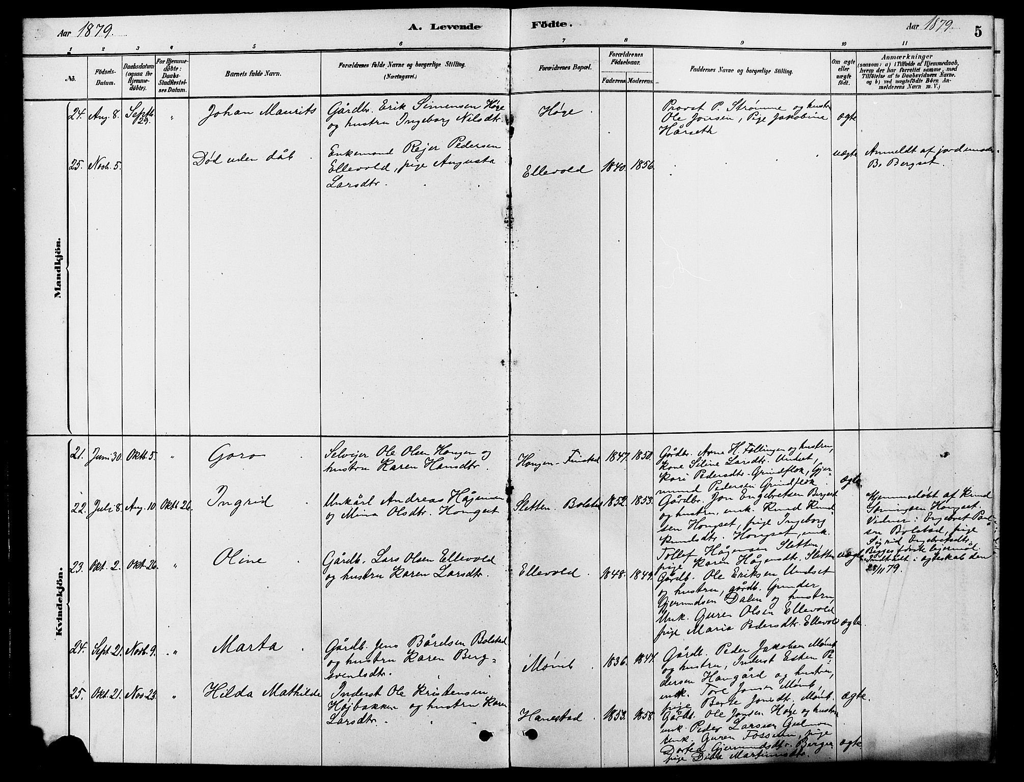 Rendalen prestekontor, SAH/PREST-054/H/Ha/Hab/L0003: Parish register (copy) no. 3, 1879-1904, p. 5