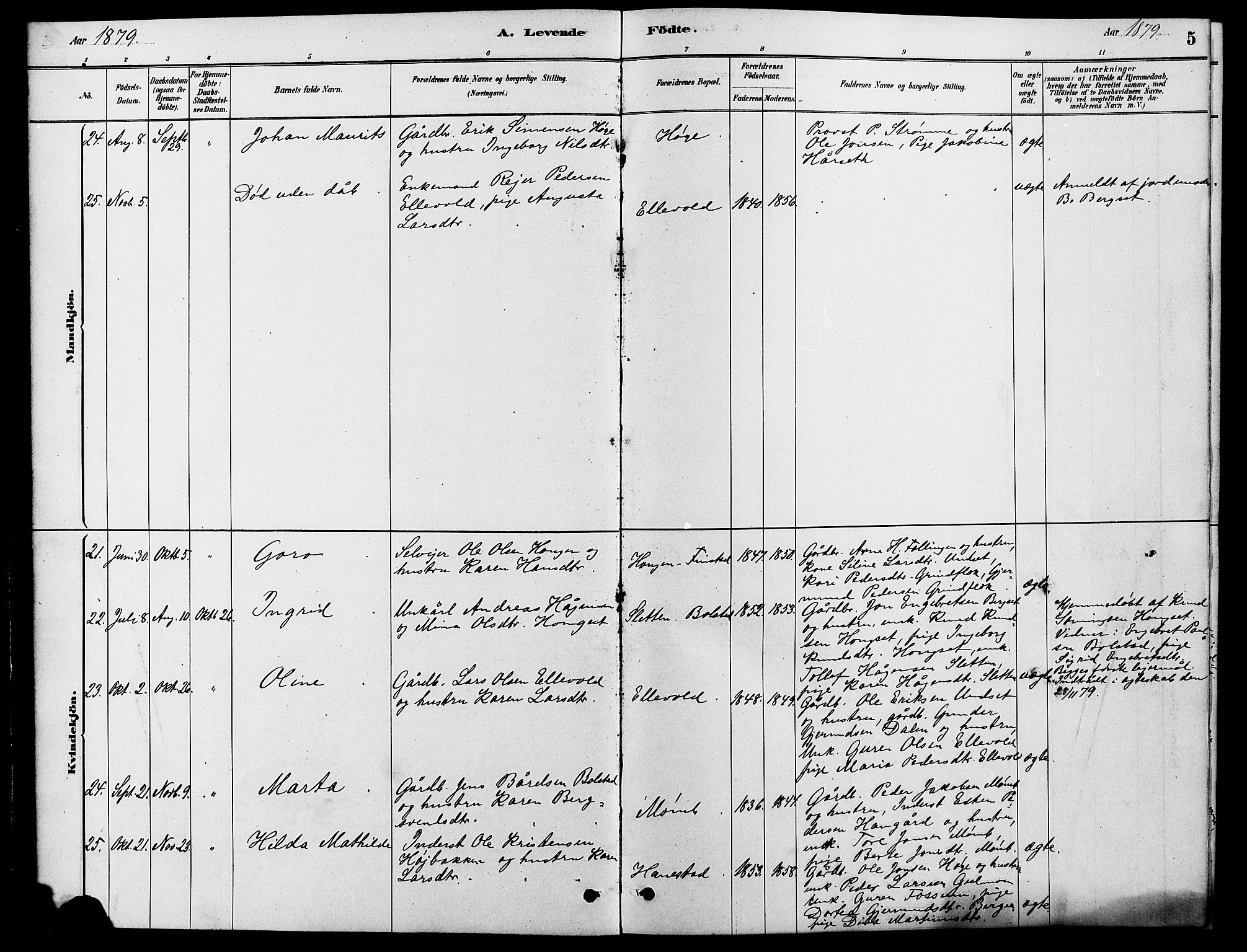 Rendalen prestekontor, AV/SAH-PREST-054/H/Ha/Hab/L0003: Parish register (copy) no. 3, 1879-1904, p. 5