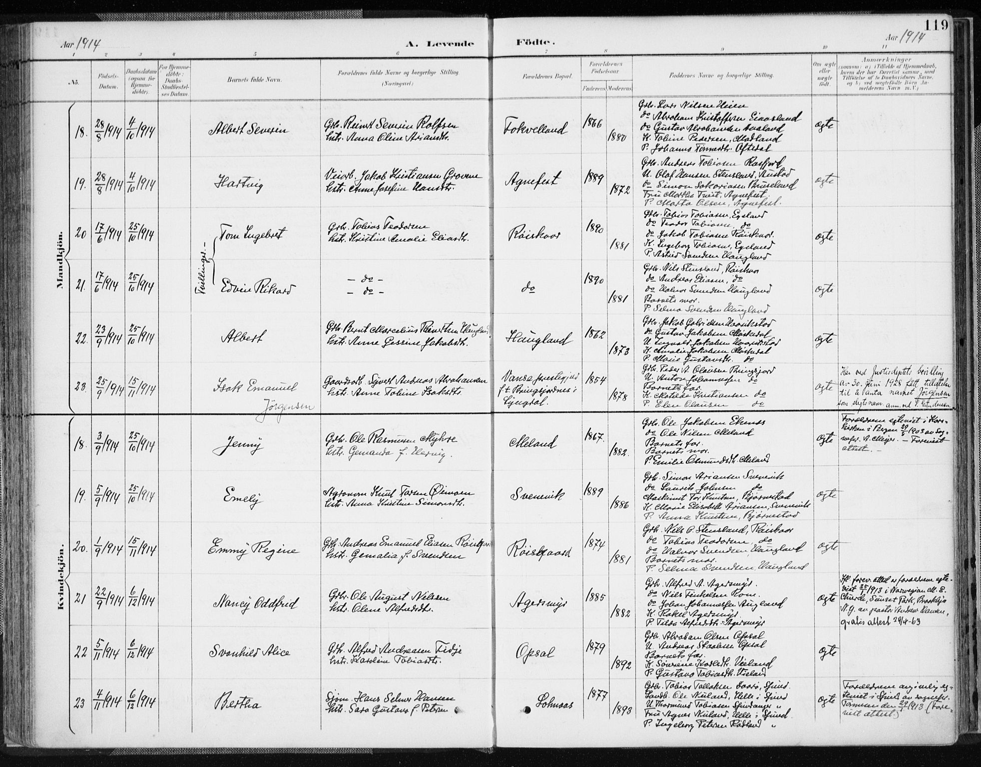 Lyngdal sokneprestkontor, AV/SAK-1111-0029/F/Fa/Fac/L0012: Parish register (official) no. A 12, 1894-1918, p. 119