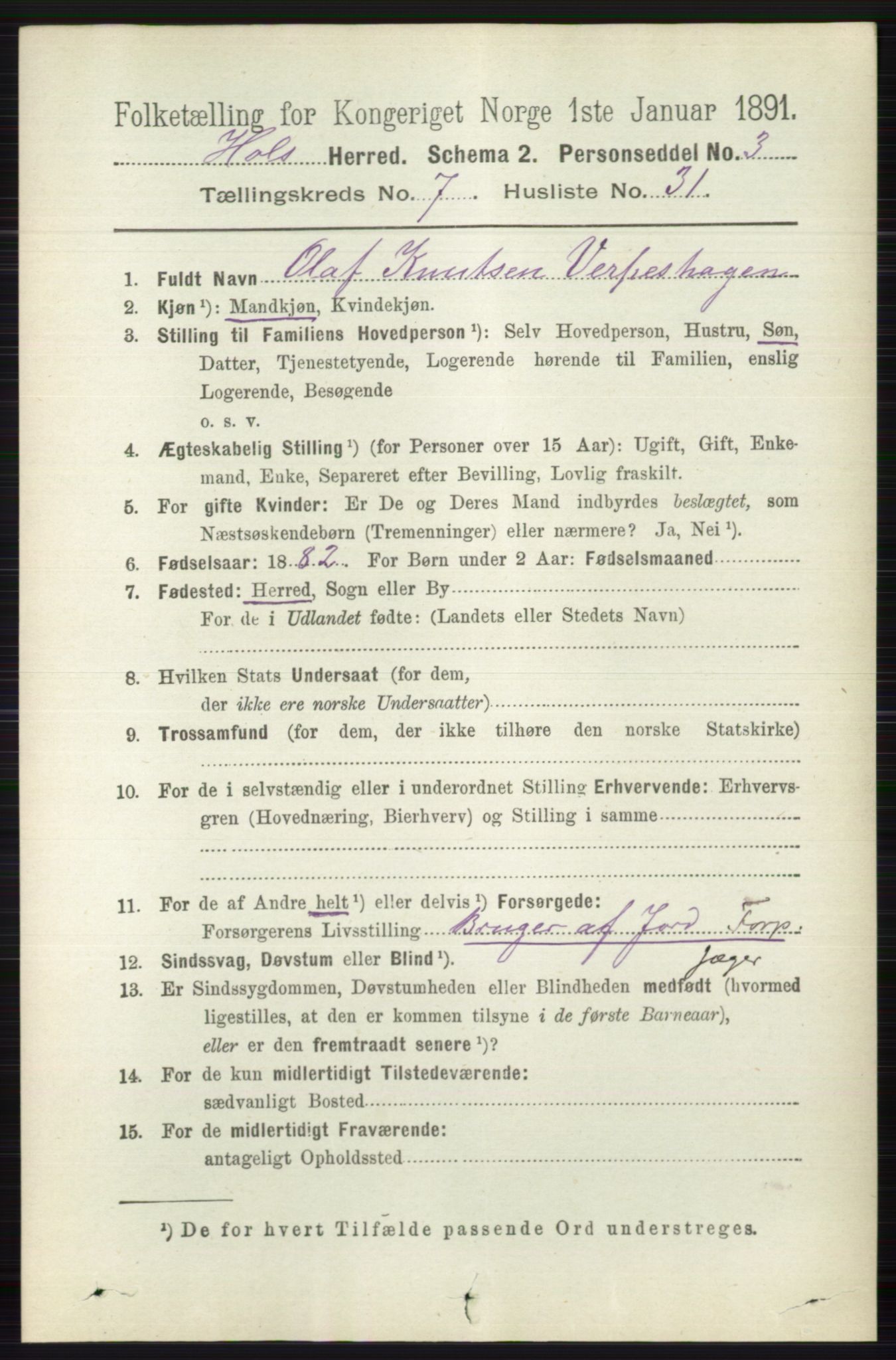 RA, 1891 census for 0620 Hol, 1891, p. 2199