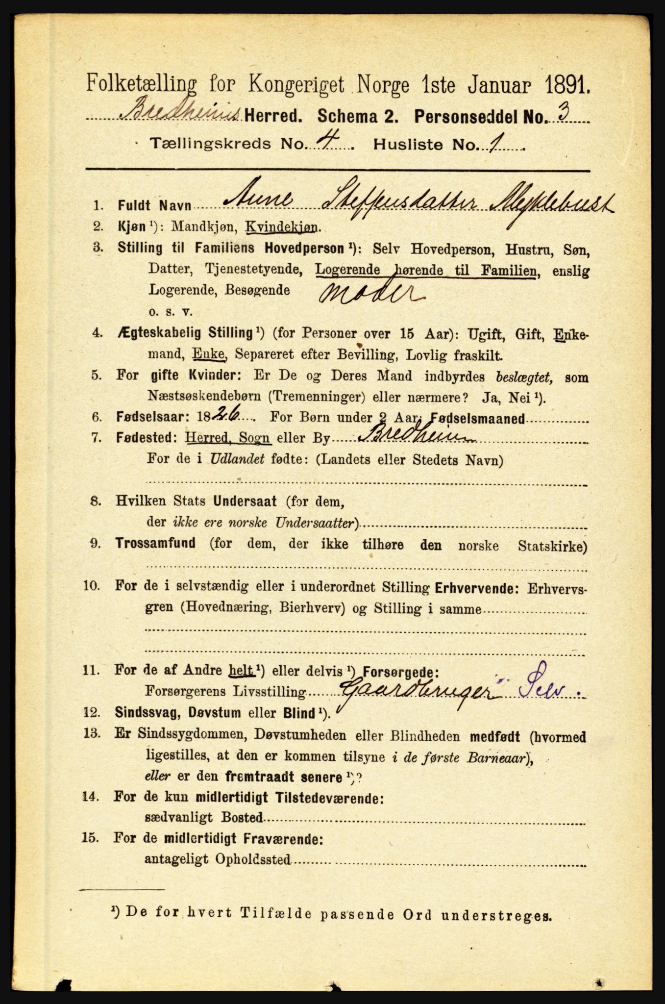 RA, 1891 census for 1446 Breim, 1891, p. 1304