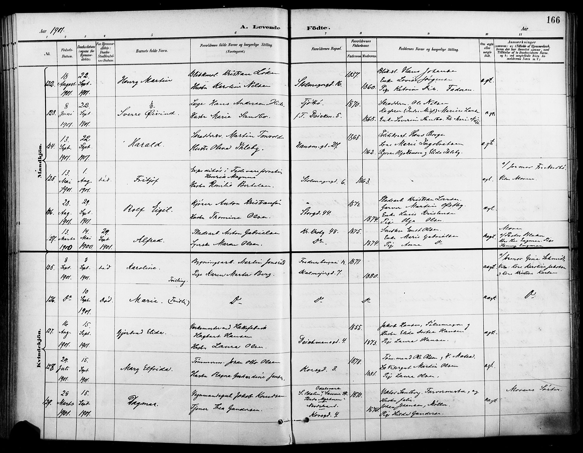 Jakob prestekontor Kirkebøker, SAO/A-10850/F/Fa/L0005: Parish register (official) no. 5, 1896-1903, p. 166