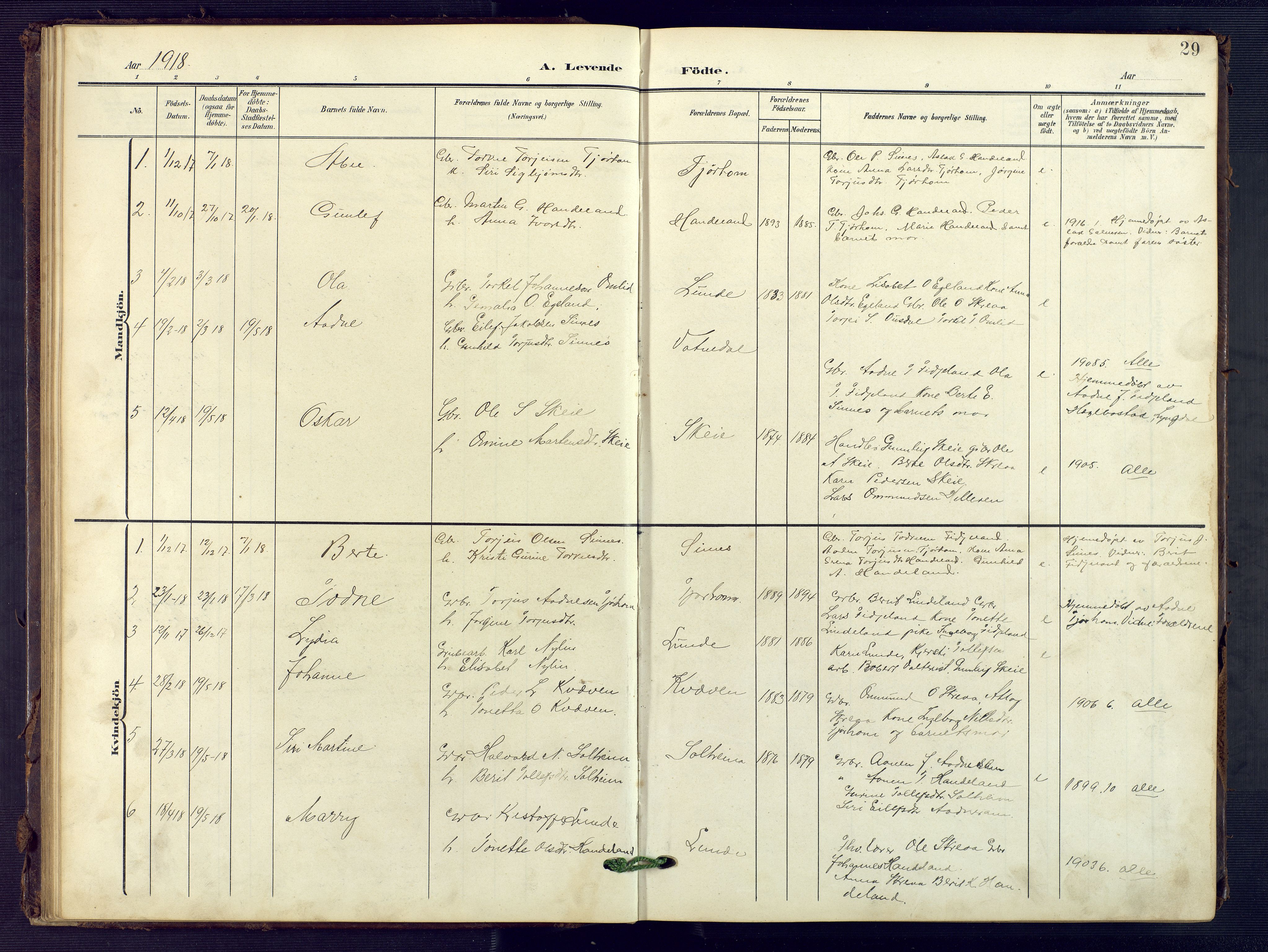 Sirdal sokneprestkontor, SAK/1111-0036/F/Fb/Fba/L0002: Parish register (copy) no. B 2, 1905-1958, p. 29