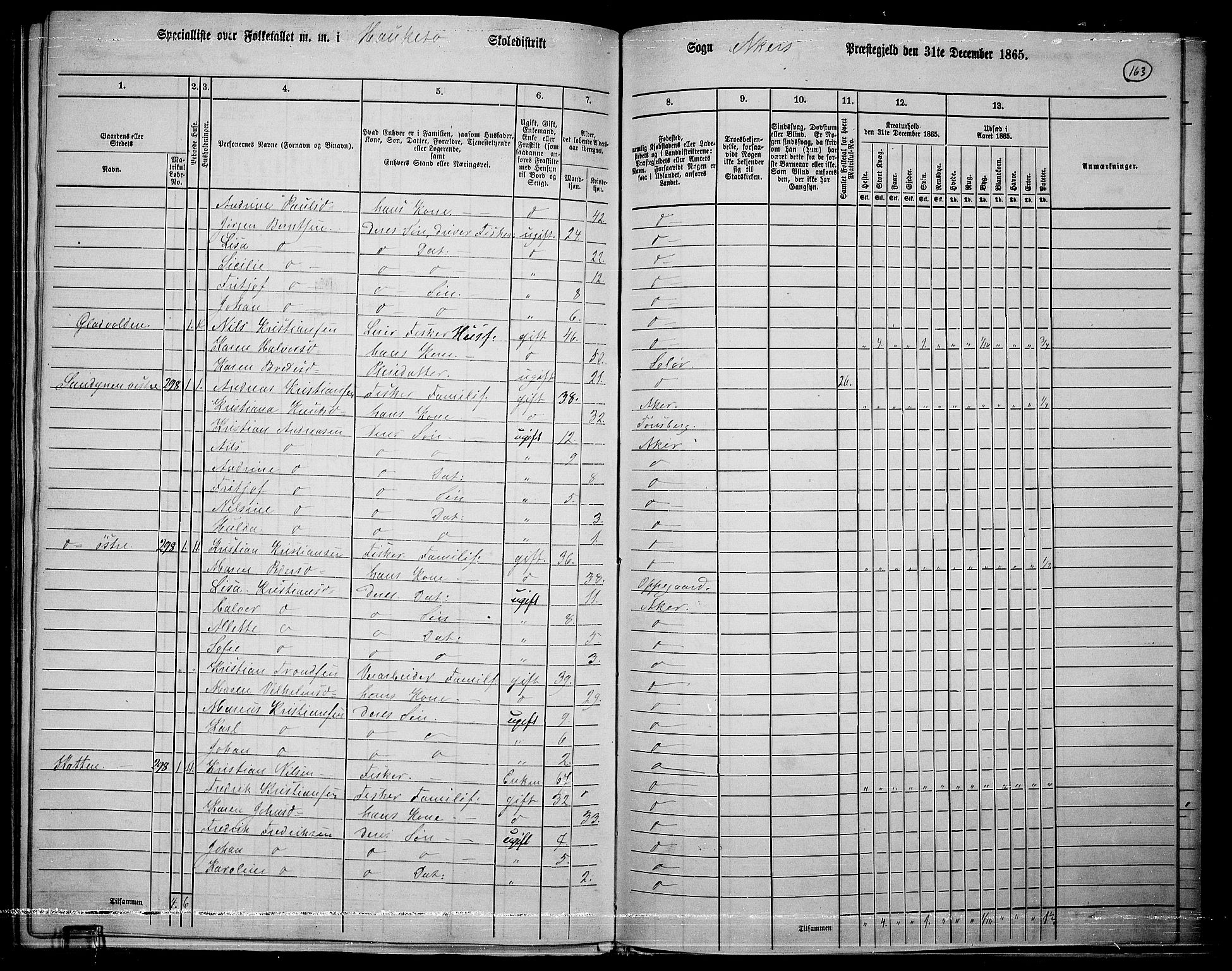 RA, 1865 census for Østre Aker, 1865, p. 382