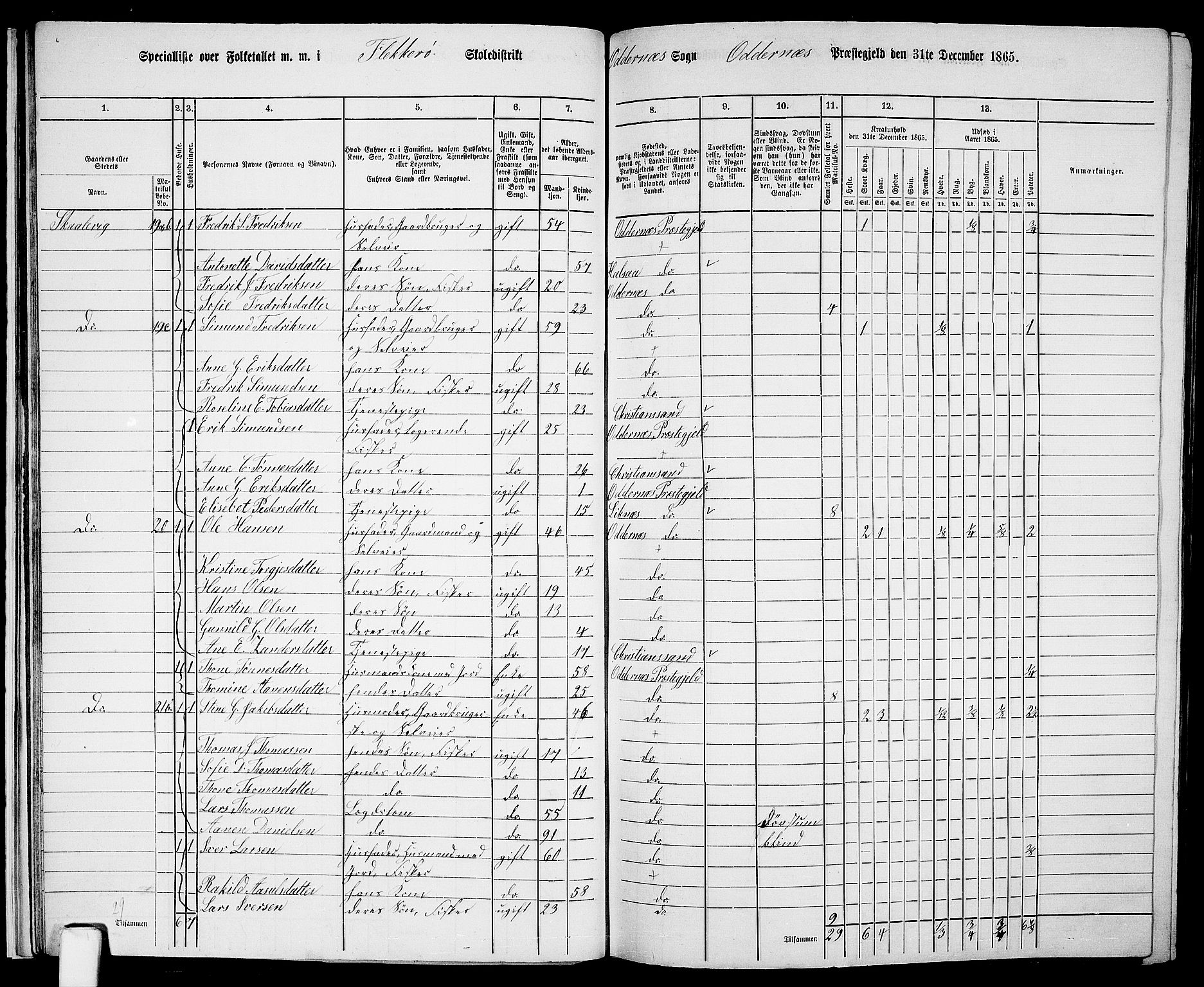 RA, 1865 census for Oddernes, 1865, p. 24