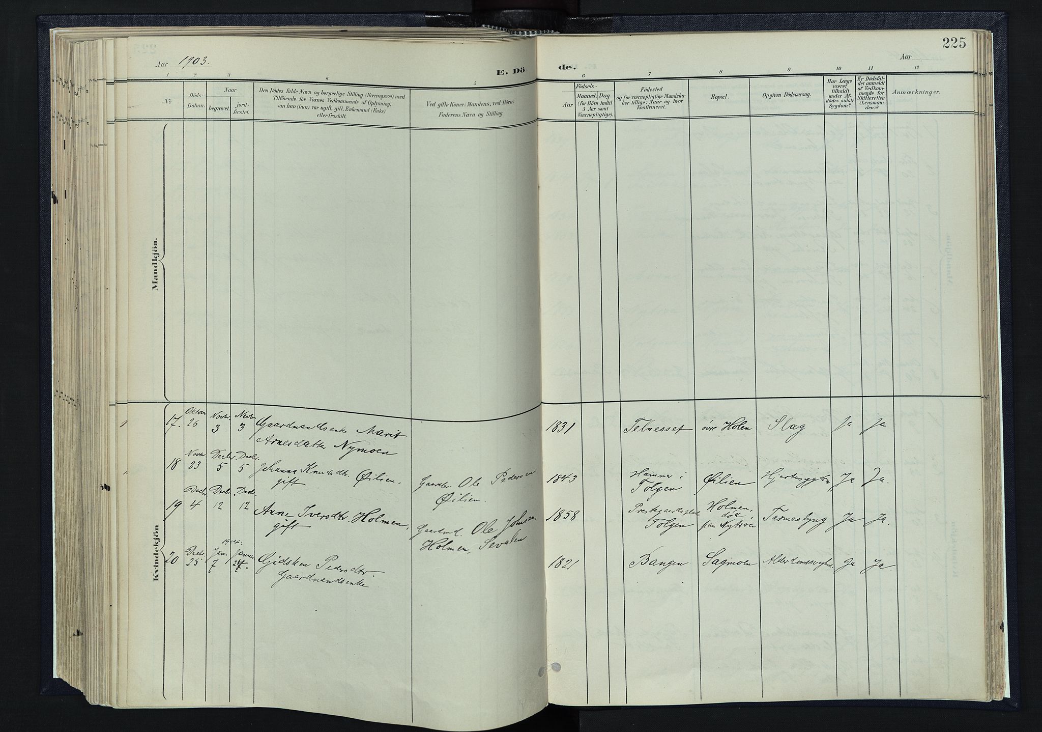 Tynset prestekontor, SAH/PREST-058/H/Ha/Haa/L0025: Parish register (official) no. 25, 1900-1914, p. 225