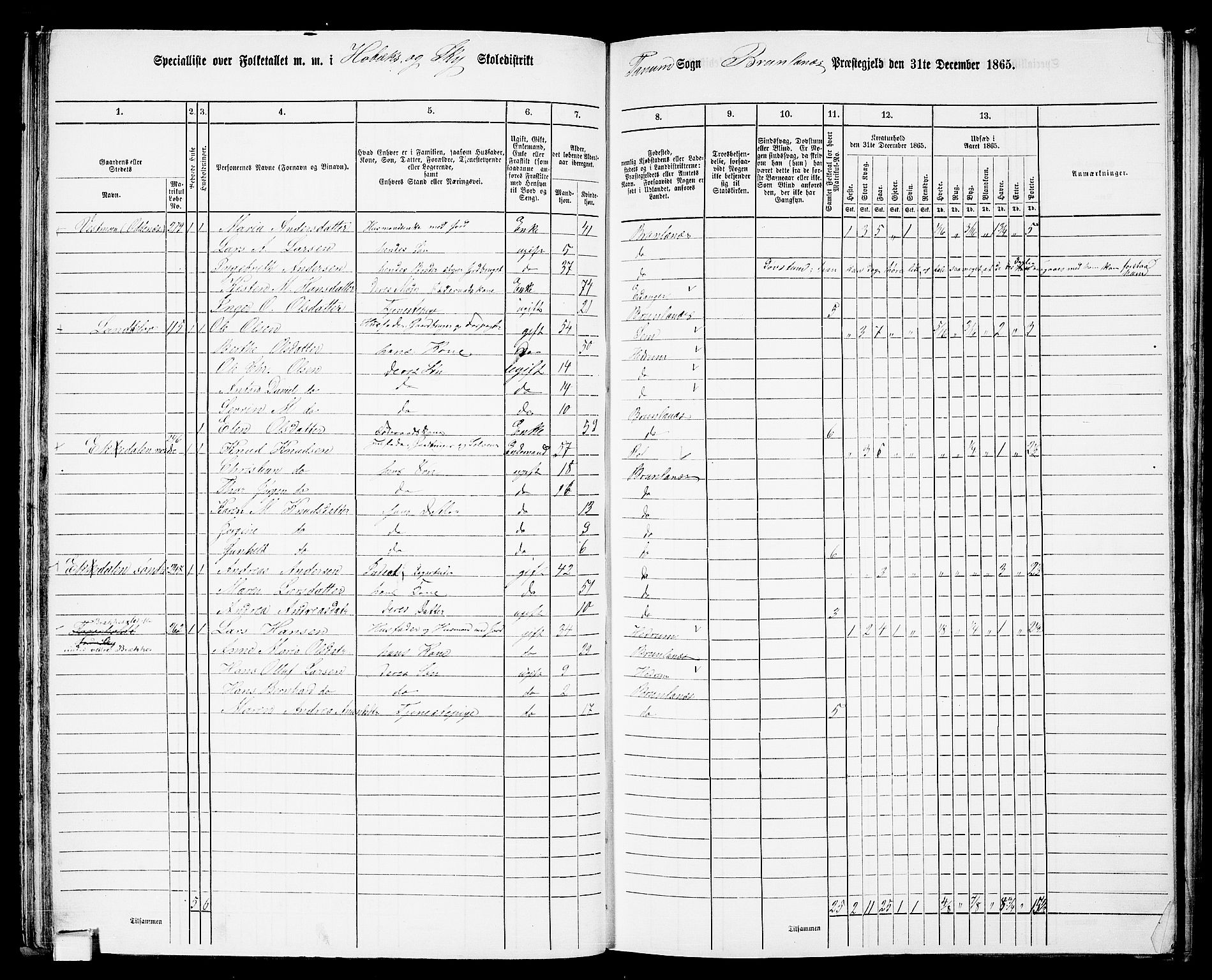 RA, 1865 census for Brunlanes, 1865, p. 47