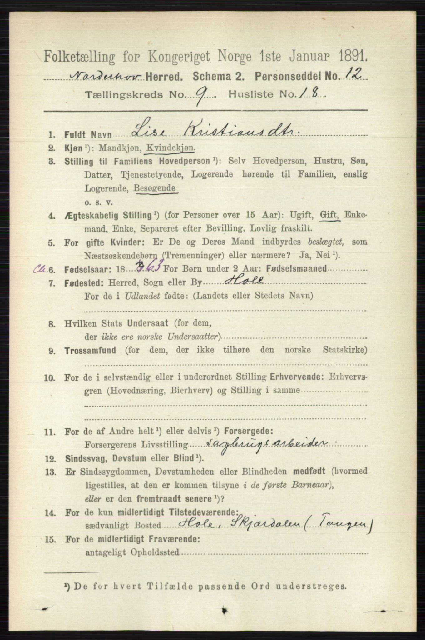 RA, 1891 census for 0613 Norderhov, 1891, p. 6726