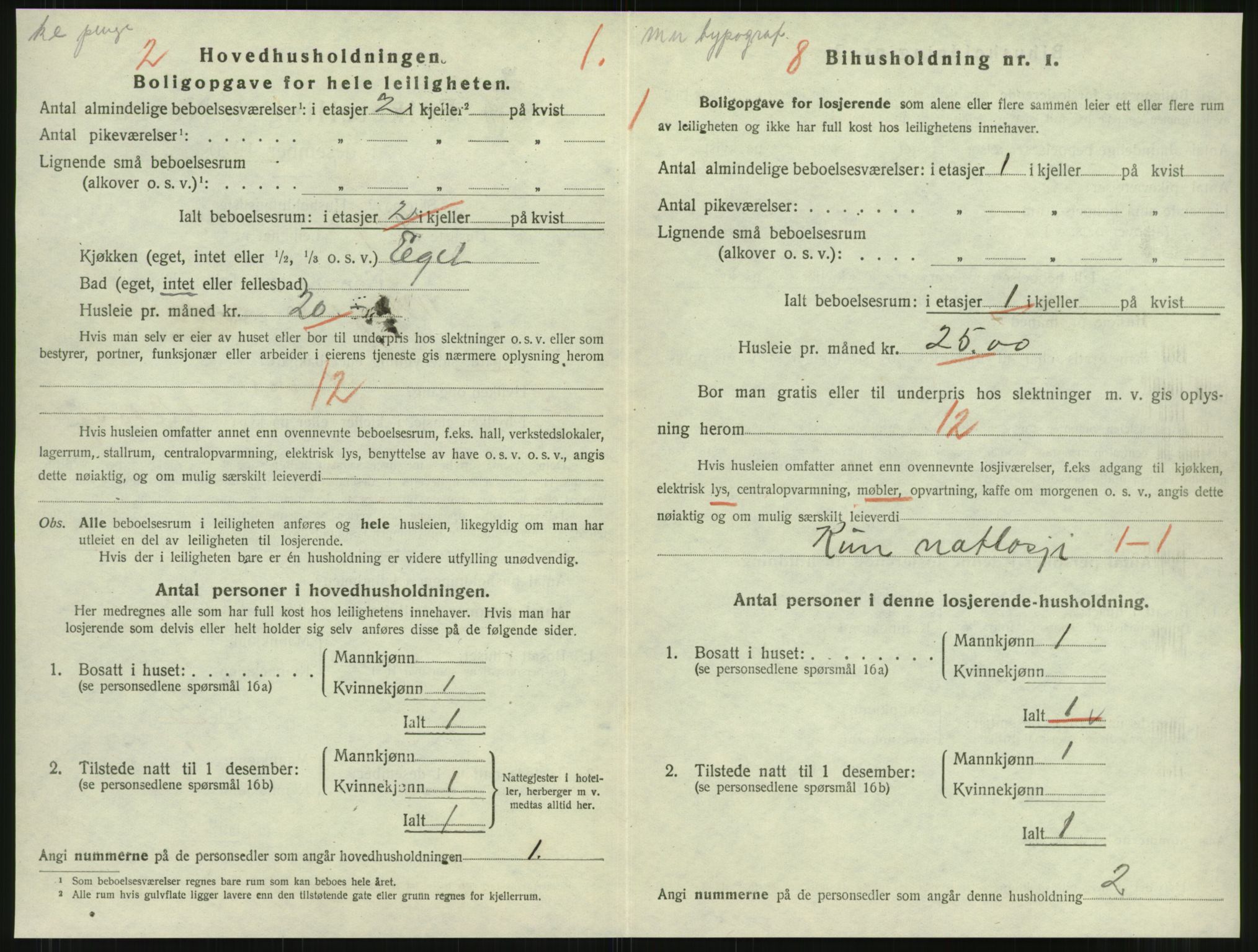 SAT, 1920 census for Namsos, 1920, p. 1000