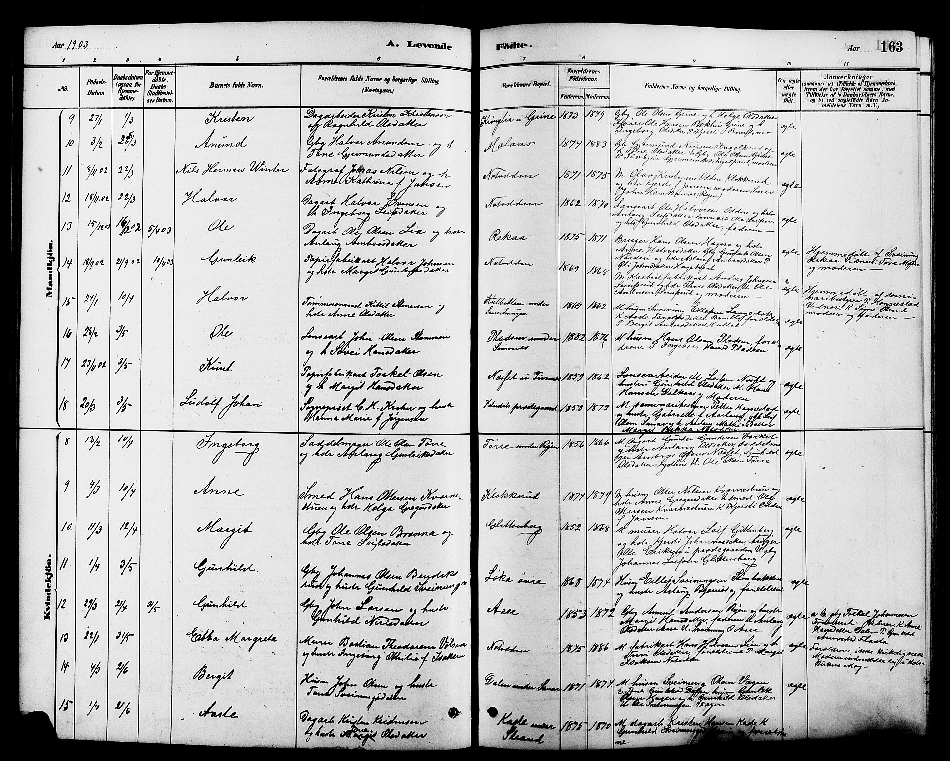 Heddal kirkebøker, SAKO/A-268/G/Ga/L0002: Parish register (copy) no. I 2, 1879-1908, p. 163
