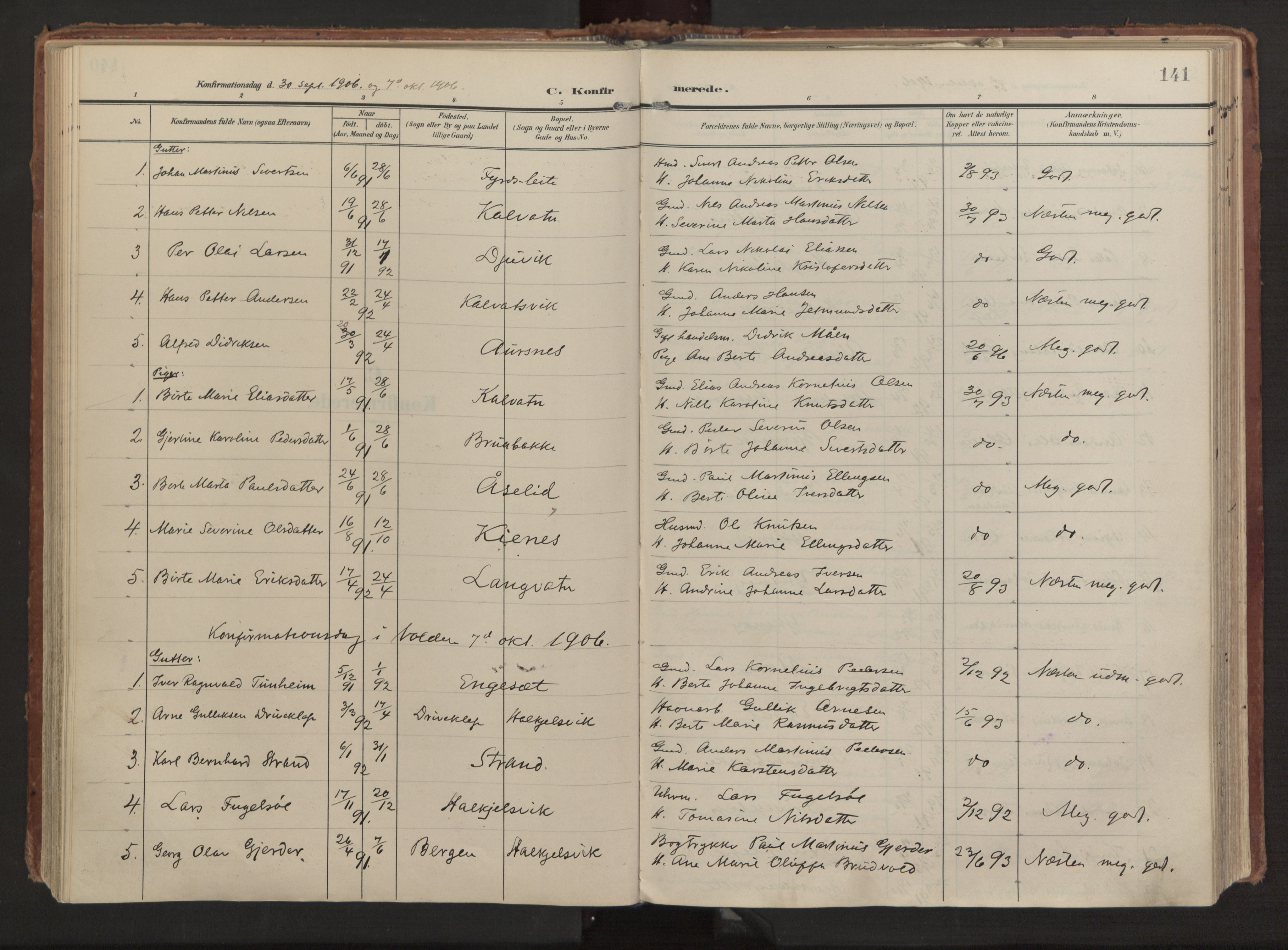 Ministerialprotokoller, klokkerbøker og fødselsregistre - Møre og Romsdal, AV/SAT-A-1454/511/L0144: Parish register (official) no. 511A11, 1906-1923, p. 141