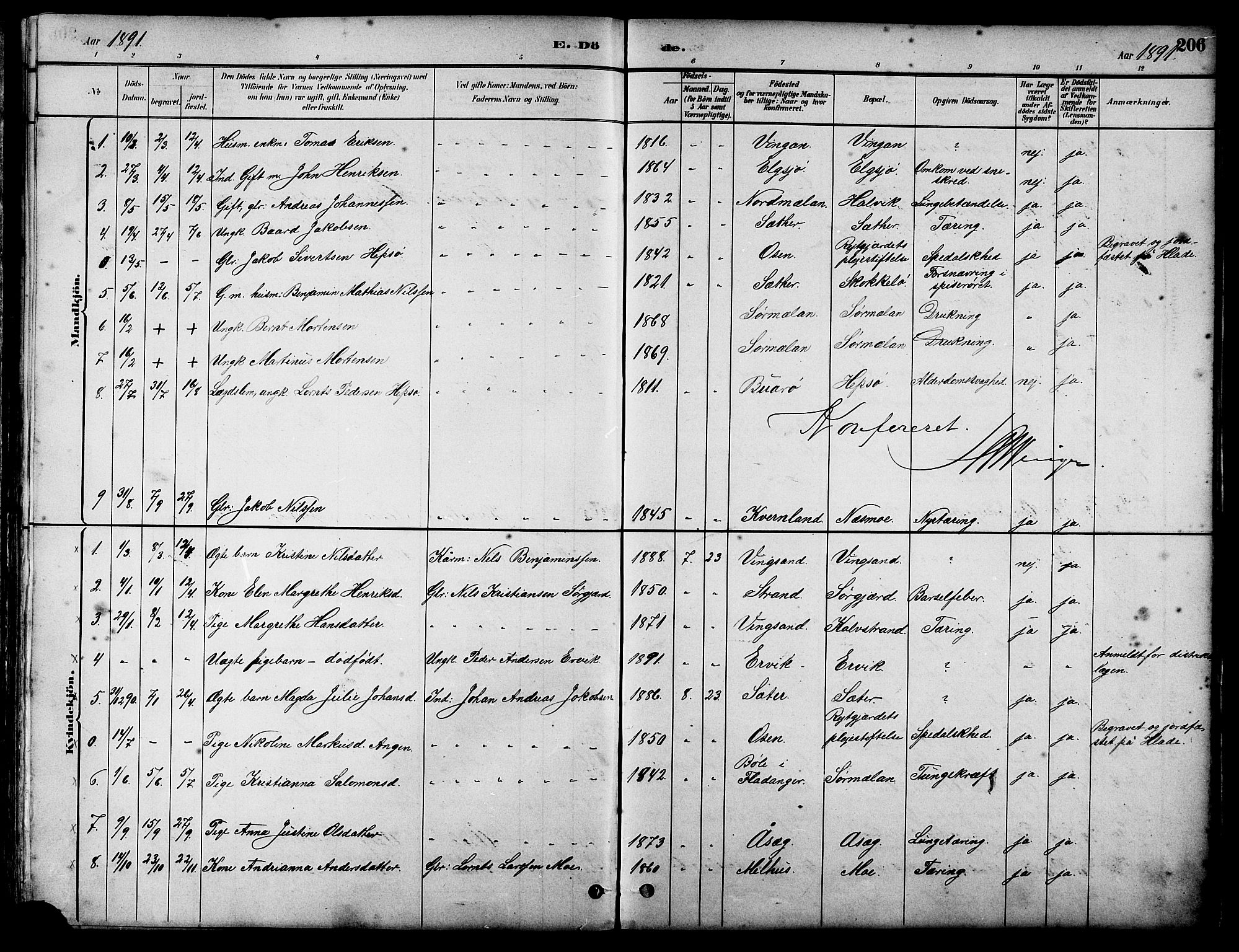 Ministerialprotokoller, klokkerbøker og fødselsregistre - Sør-Trøndelag, AV/SAT-A-1456/658/L0726: Parish register (copy) no. 658C02, 1883-1908, p. 206