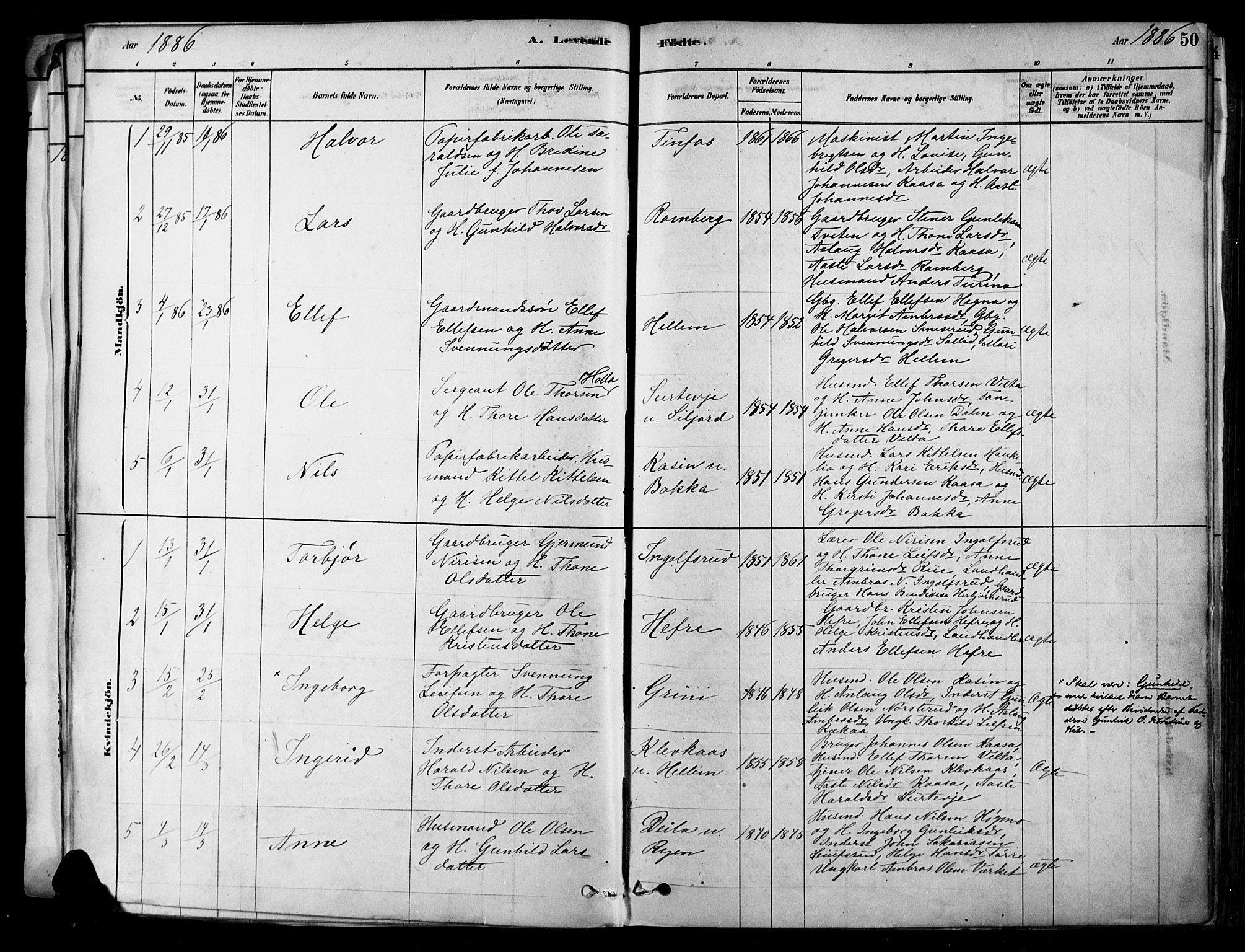 Heddal kirkebøker, SAKO/A-268/F/Fa/L0008: Parish register (official) no. I 8, 1878-1903, p. 50