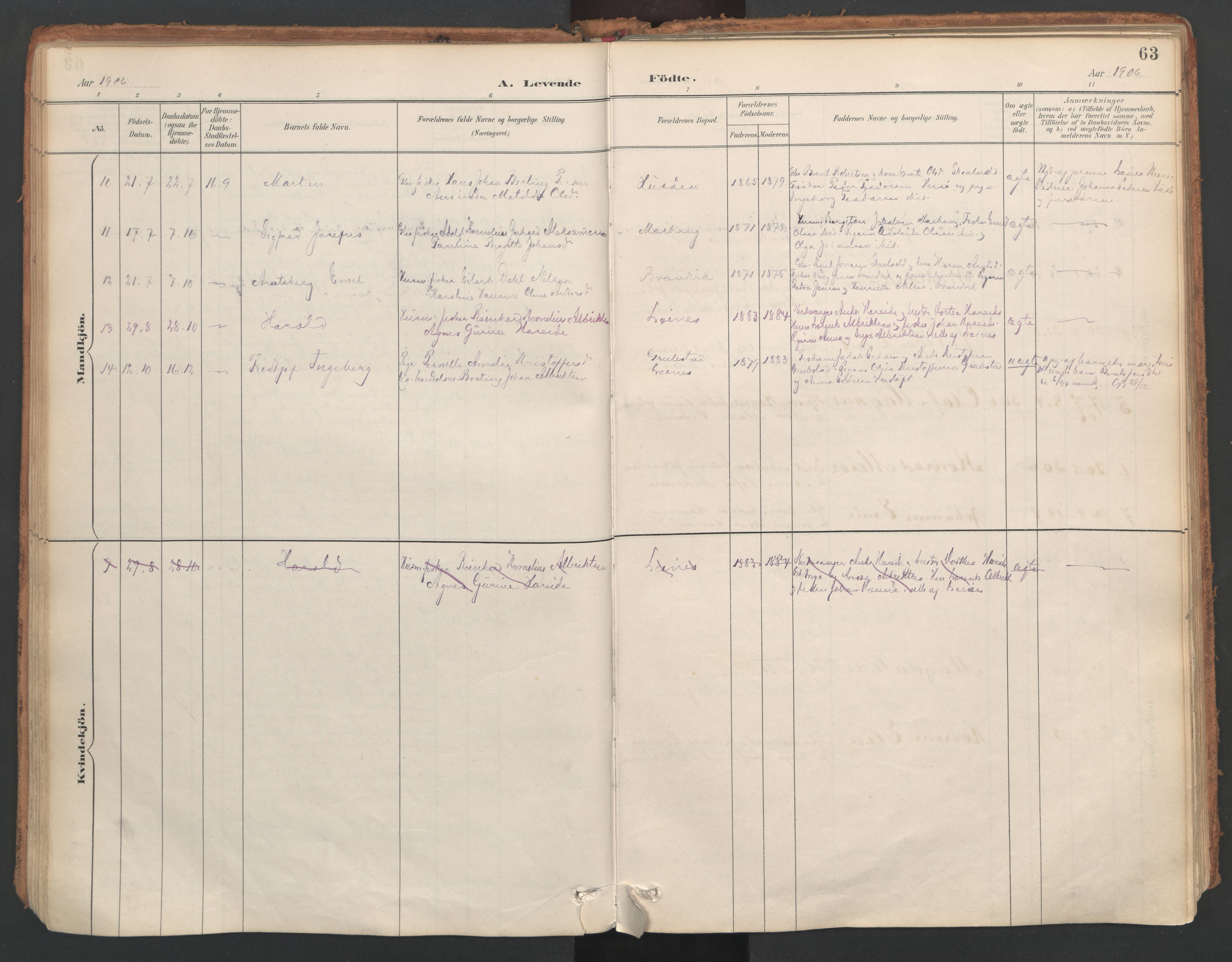 Ministerialprotokoller, klokkerbøker og fødselsregistre - Nordland, AV/SAT-A-1459/857/L0822: Parish register (official) no. 857A02, 1890-1917, p. 63