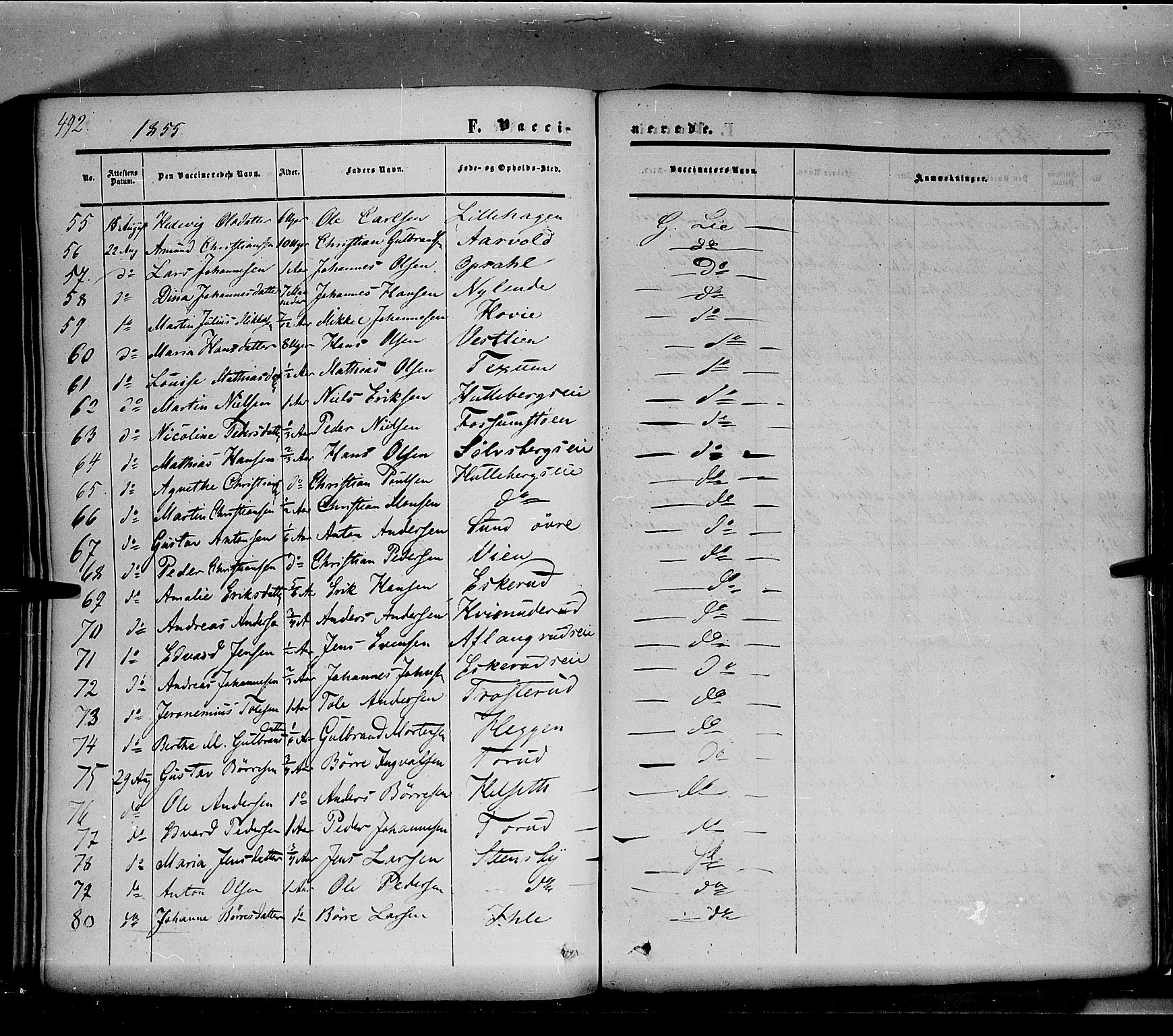 Nes prestekontor, Hedmark, SAH/PREST-020/K/Ka/L0004: Parish register (official) no. 4, 1852-1886, p. 492