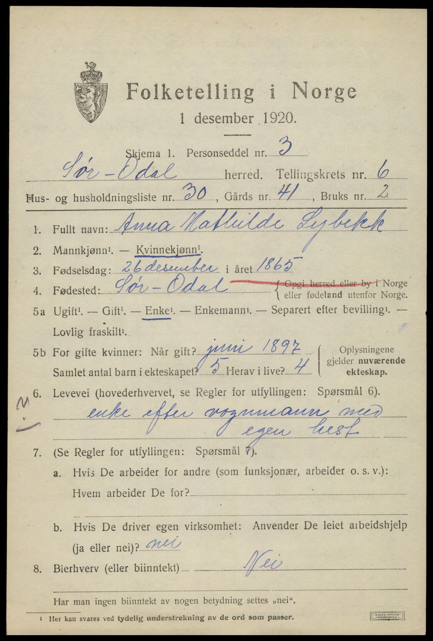 SAH, 1920 census for Sør-Odal, 1920, p. 7129