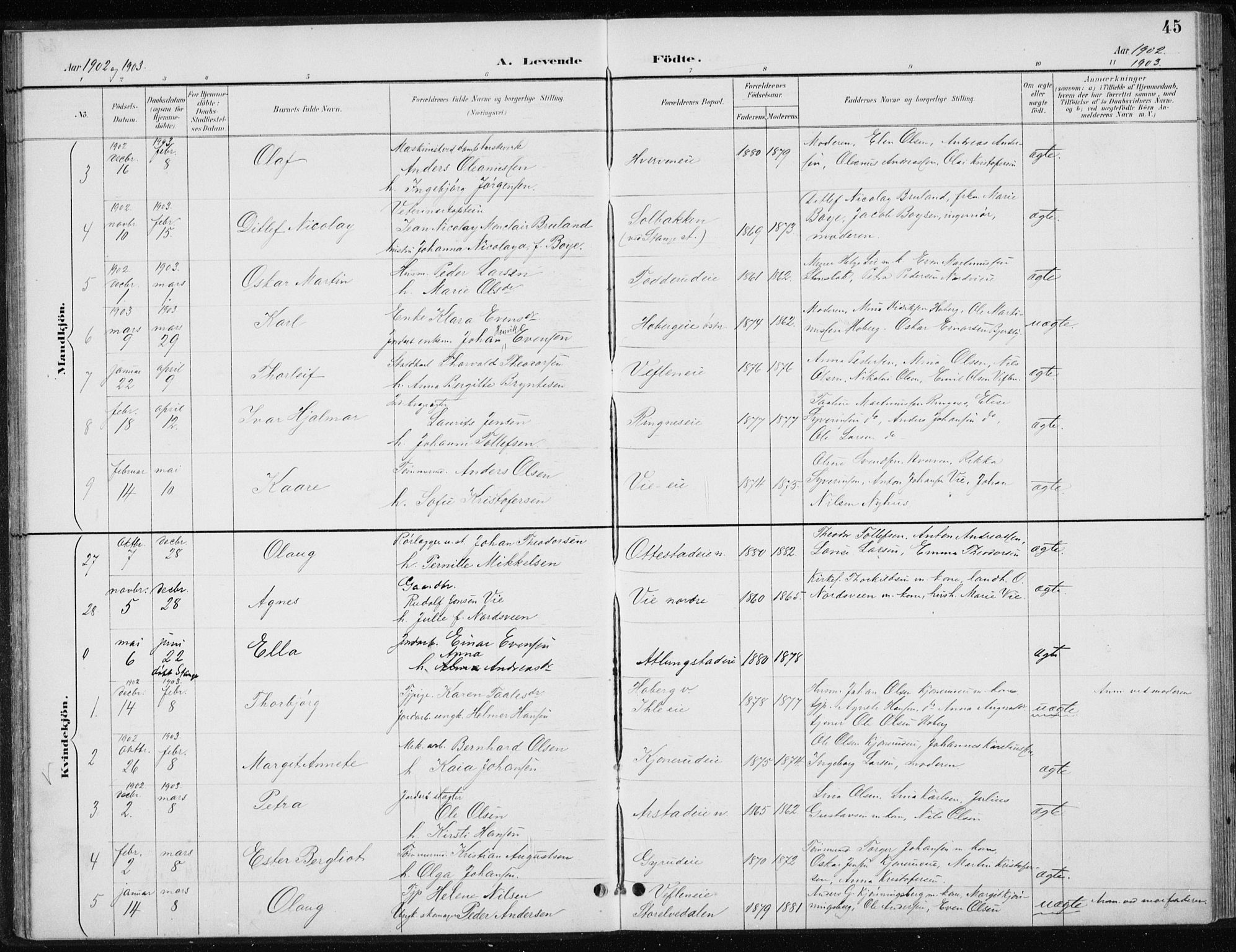 Stange prestekontor, SAH/PREST-002/L/L0010: Parish register (copy) no. 10, 1894-1905, p. 45