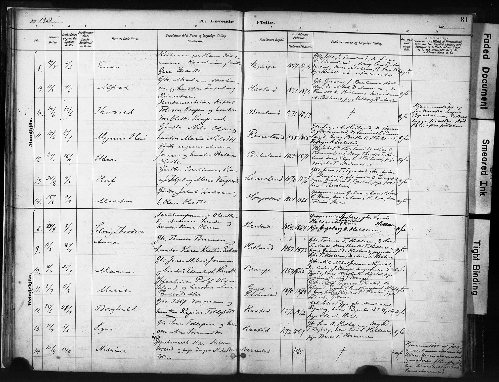 Helleland sokneprestkontor, AV/SAST-A-101810: Parish register (official) no. A 8, 1887-1907, p. 31